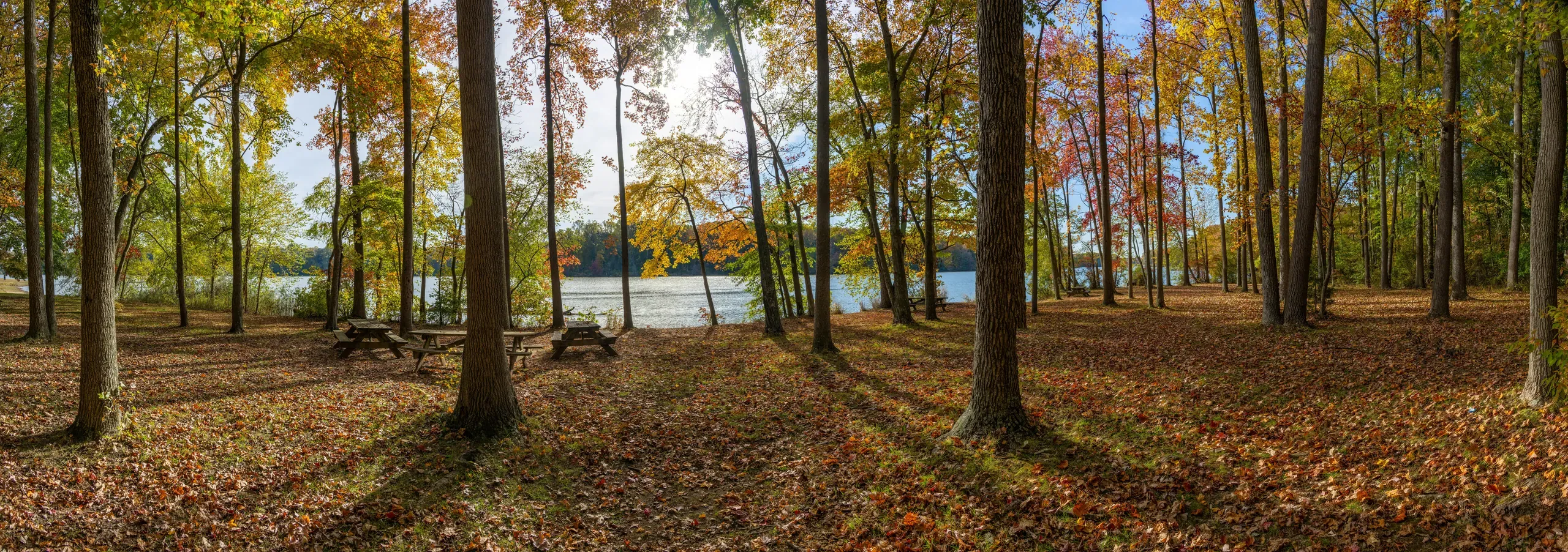 Lums Pond State Park, Howell School Rd, Bear, Delaware
