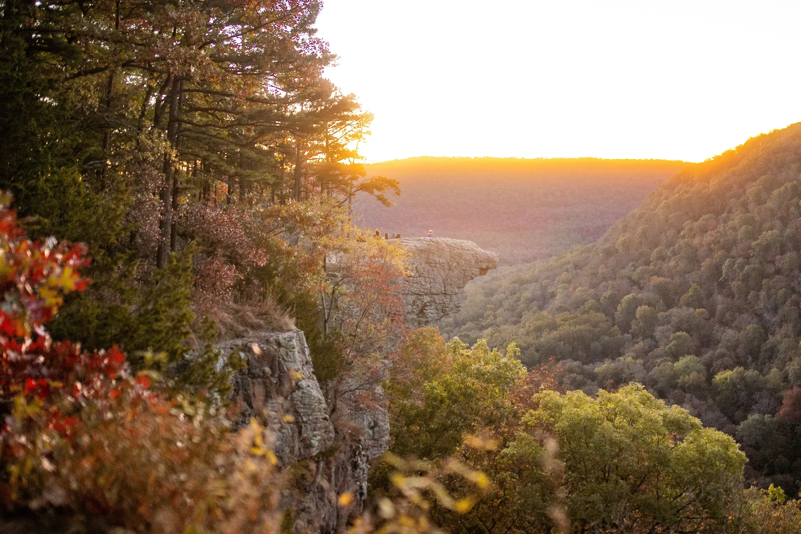 Hawksbill Crag (also called Whitaker Point), Upper Buffalo Wilderness, Arkansas