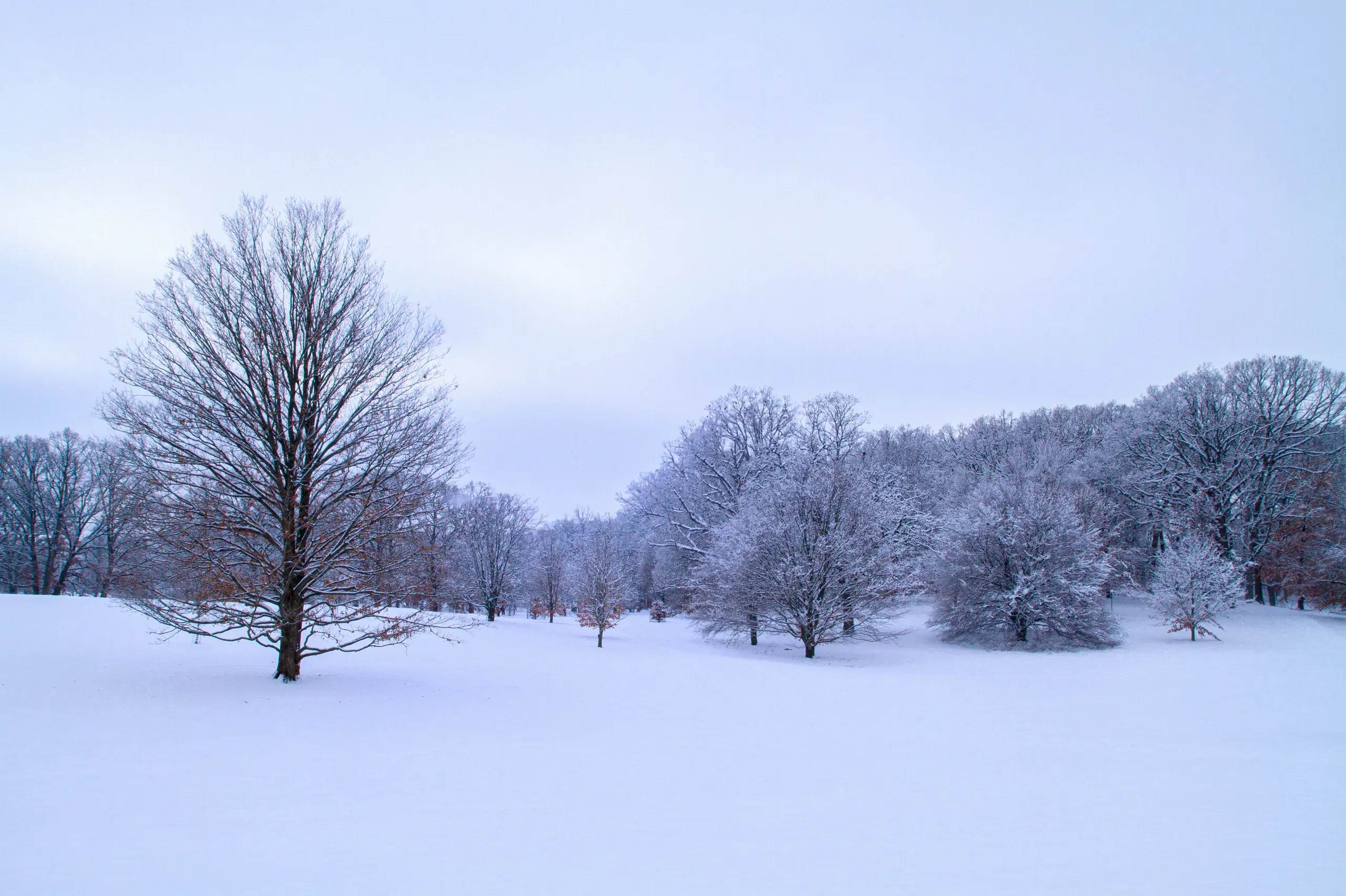 The Morton Arboretum, Lisle, Illinois