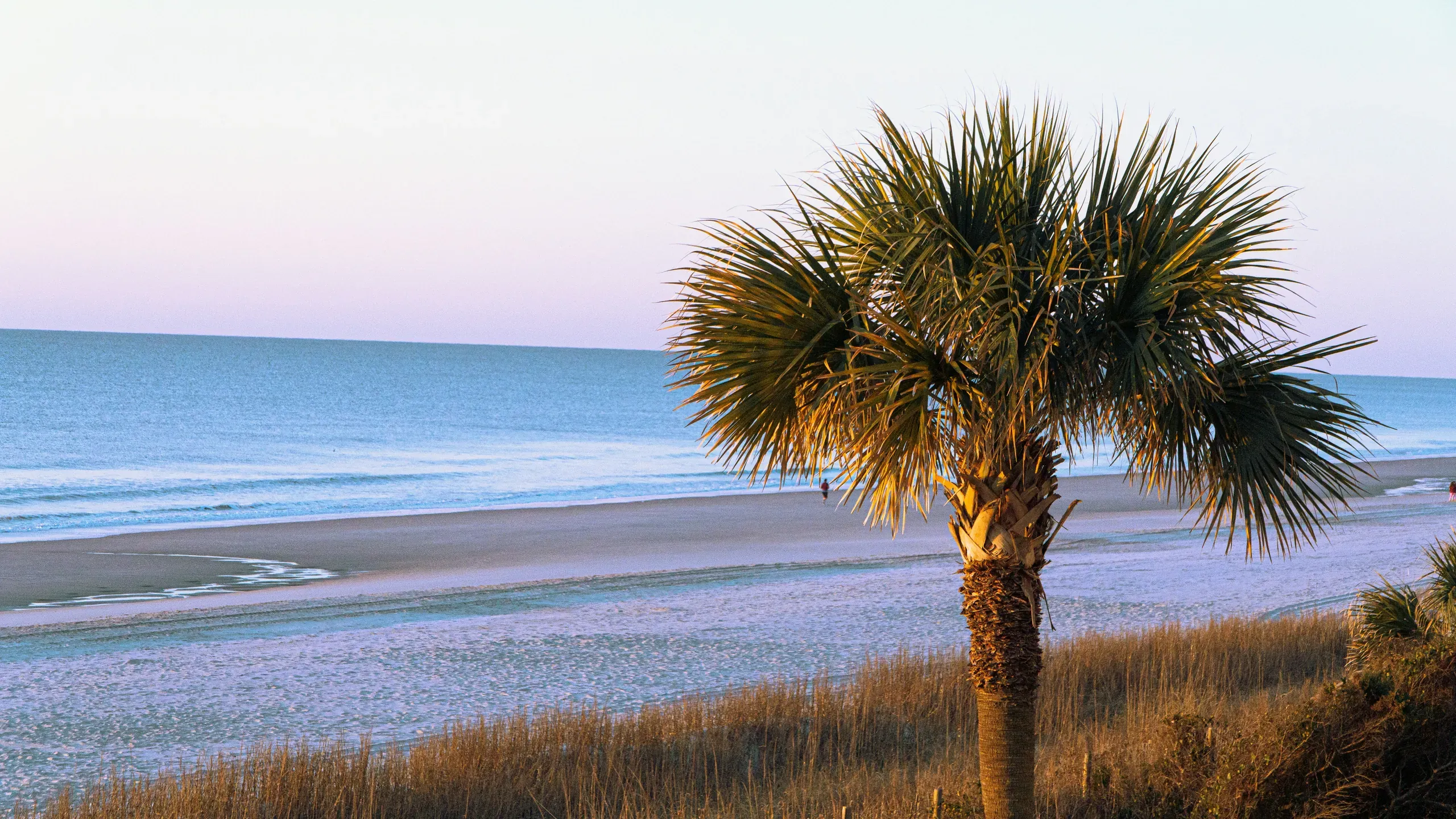 South Carolina