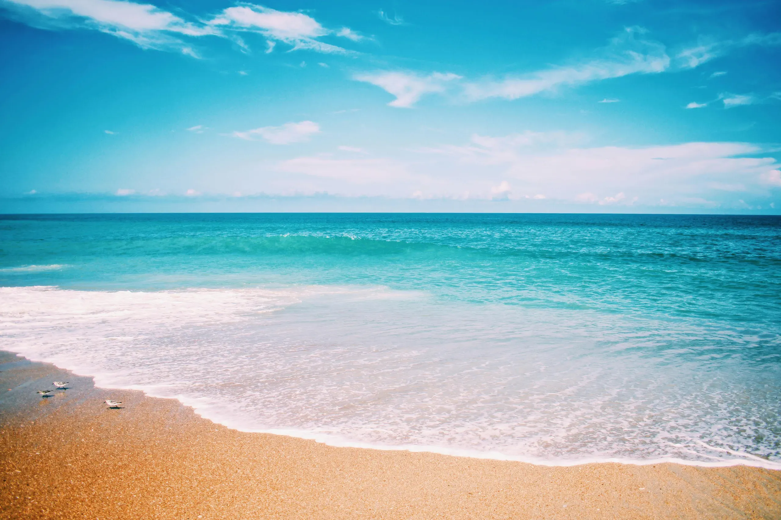 North Carolina. Seashore