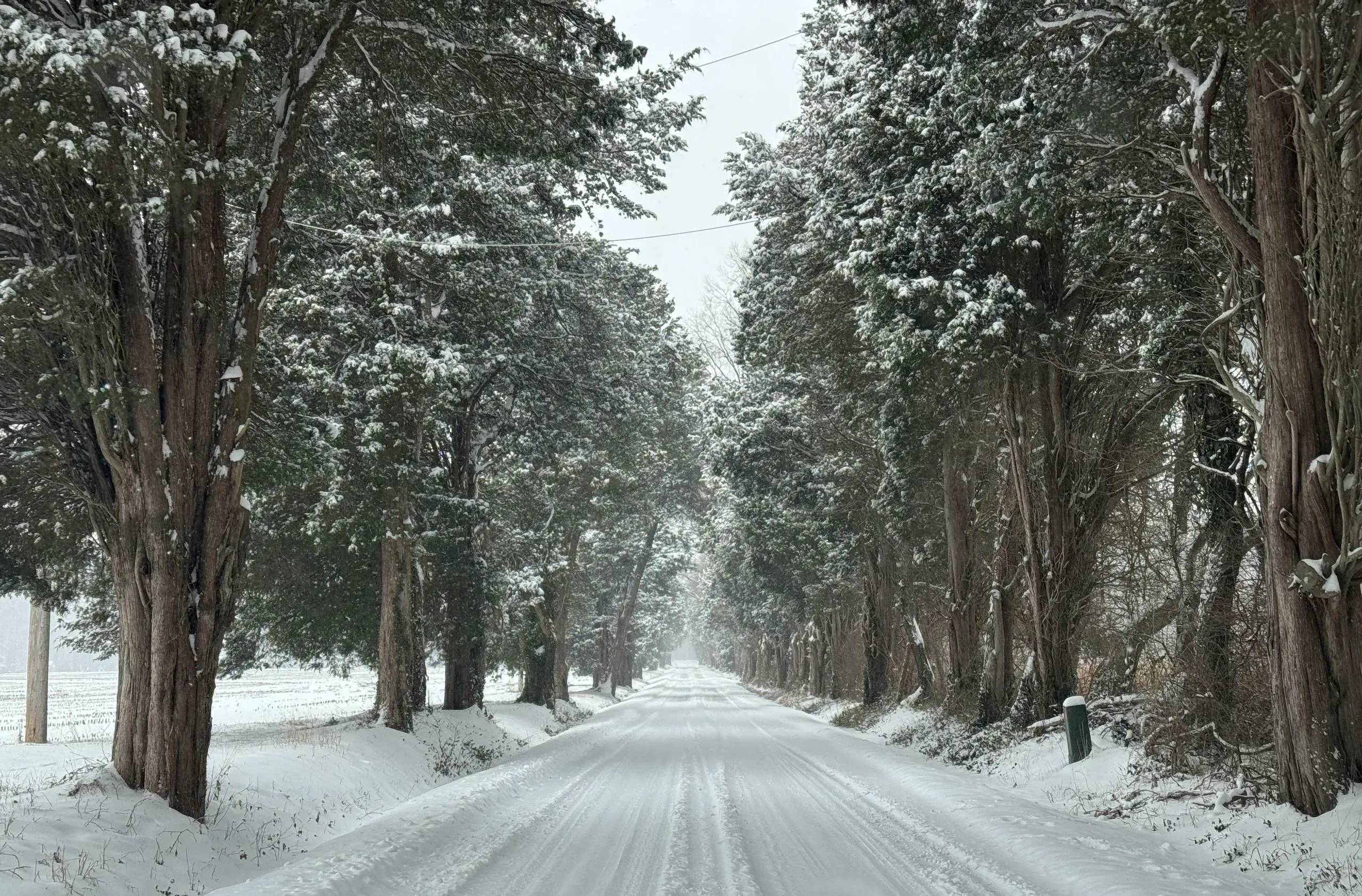 Chestertown, Maryland. Snow-covered road