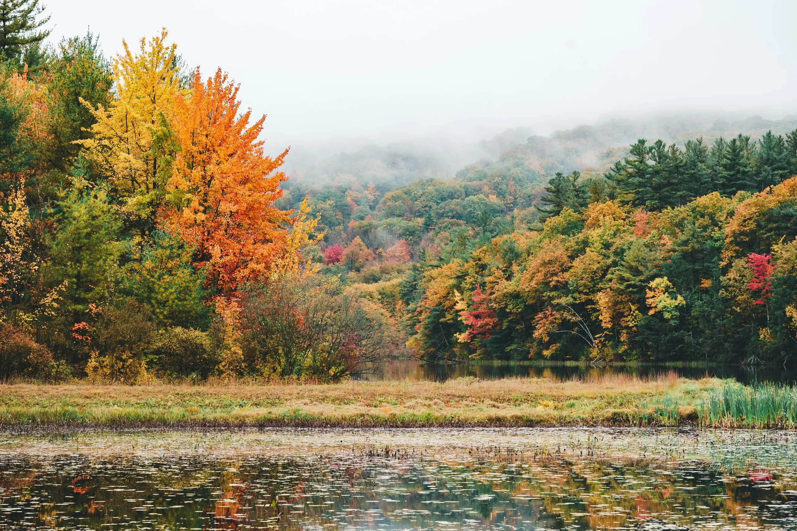 Wachusett Mountain State Reservation, Mountain Road, Princeton, Massachusetts. Peak foliage