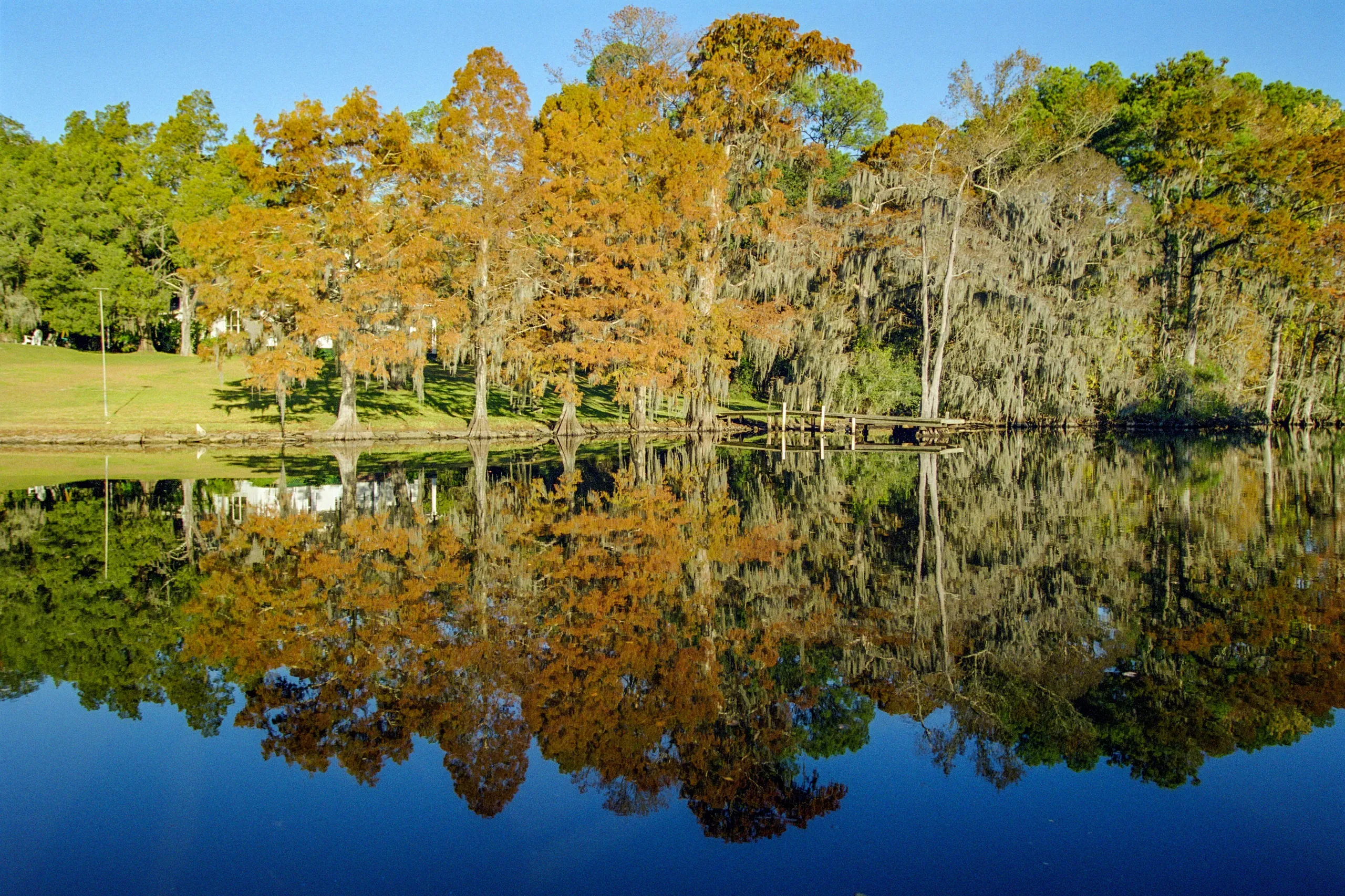 The green and brown foliage of trees on a lake shore are reflected in the calm water on a clear day in Slidell, Louisiana.