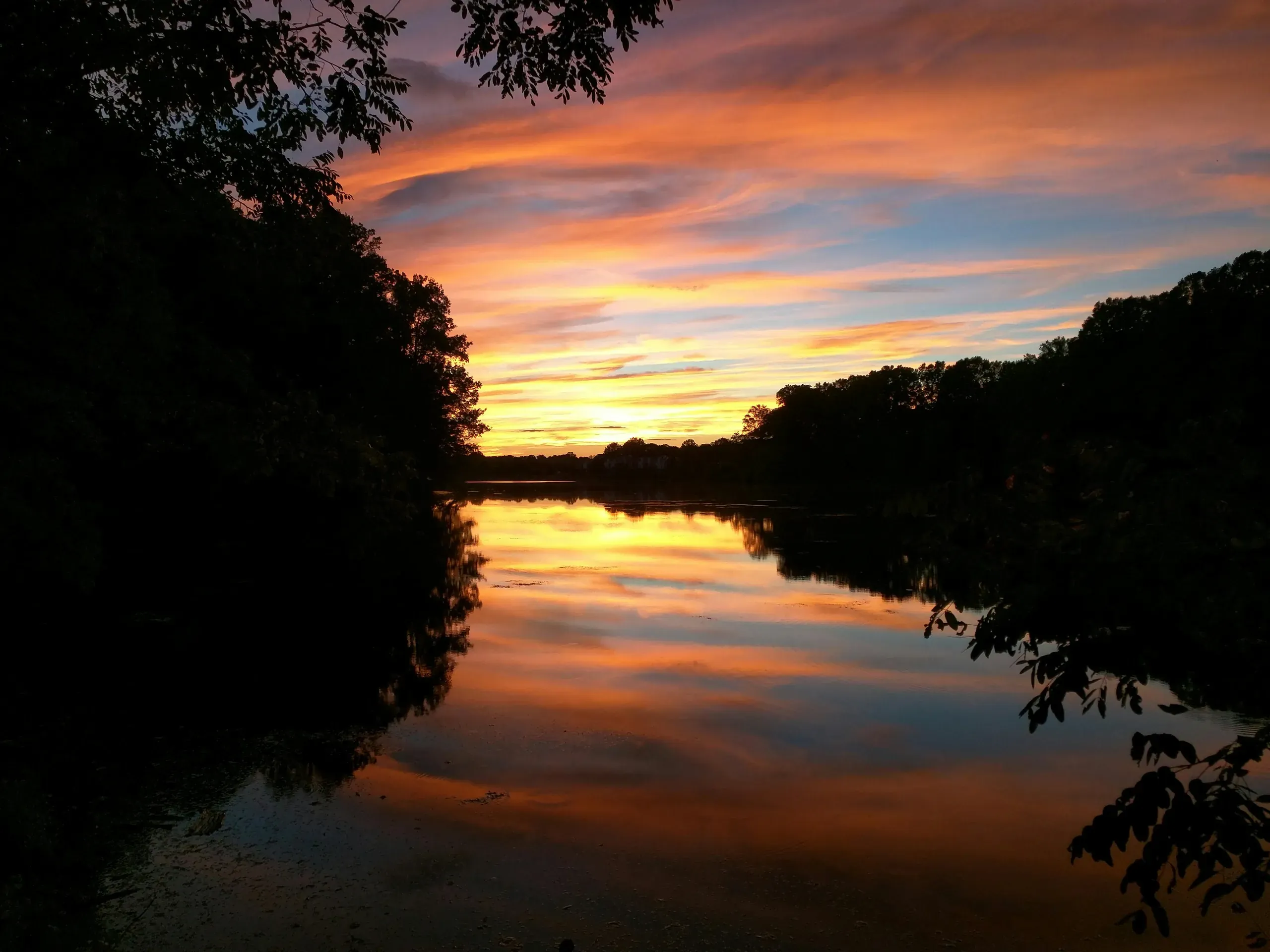 Columbia, Maryland. Silhouette photography of body of water between trees during golden hour