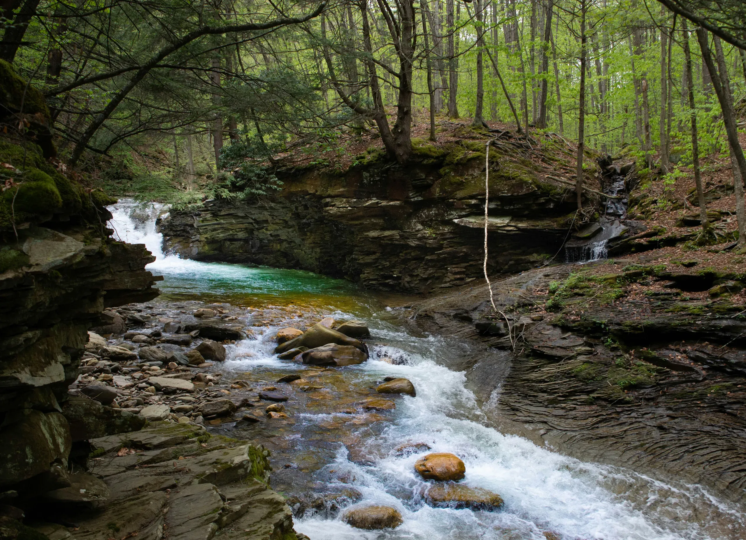 McIntyre, Pennsylvania. Pennsylvania's beautiful McIntyre wilderness