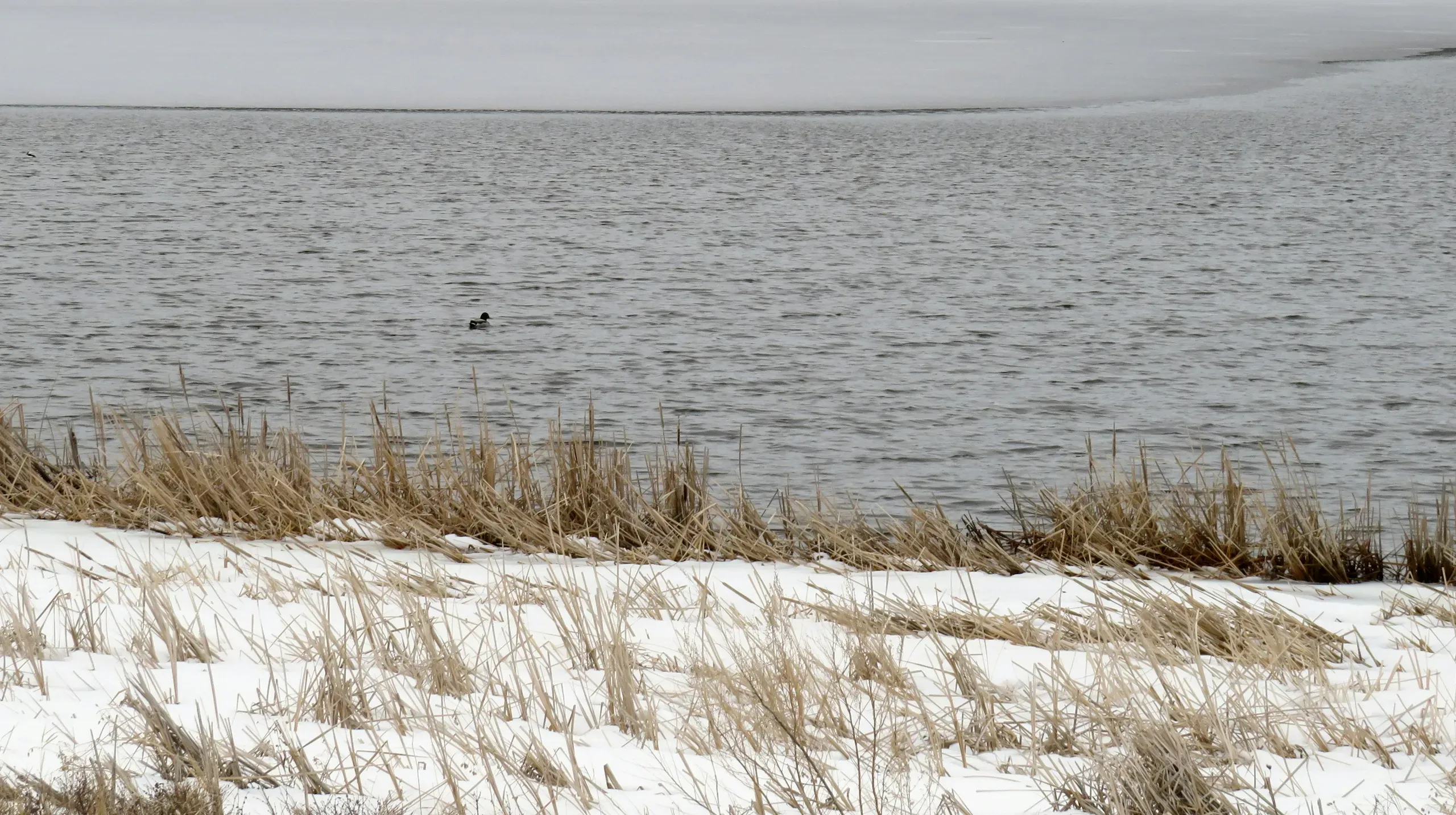 North Dakota