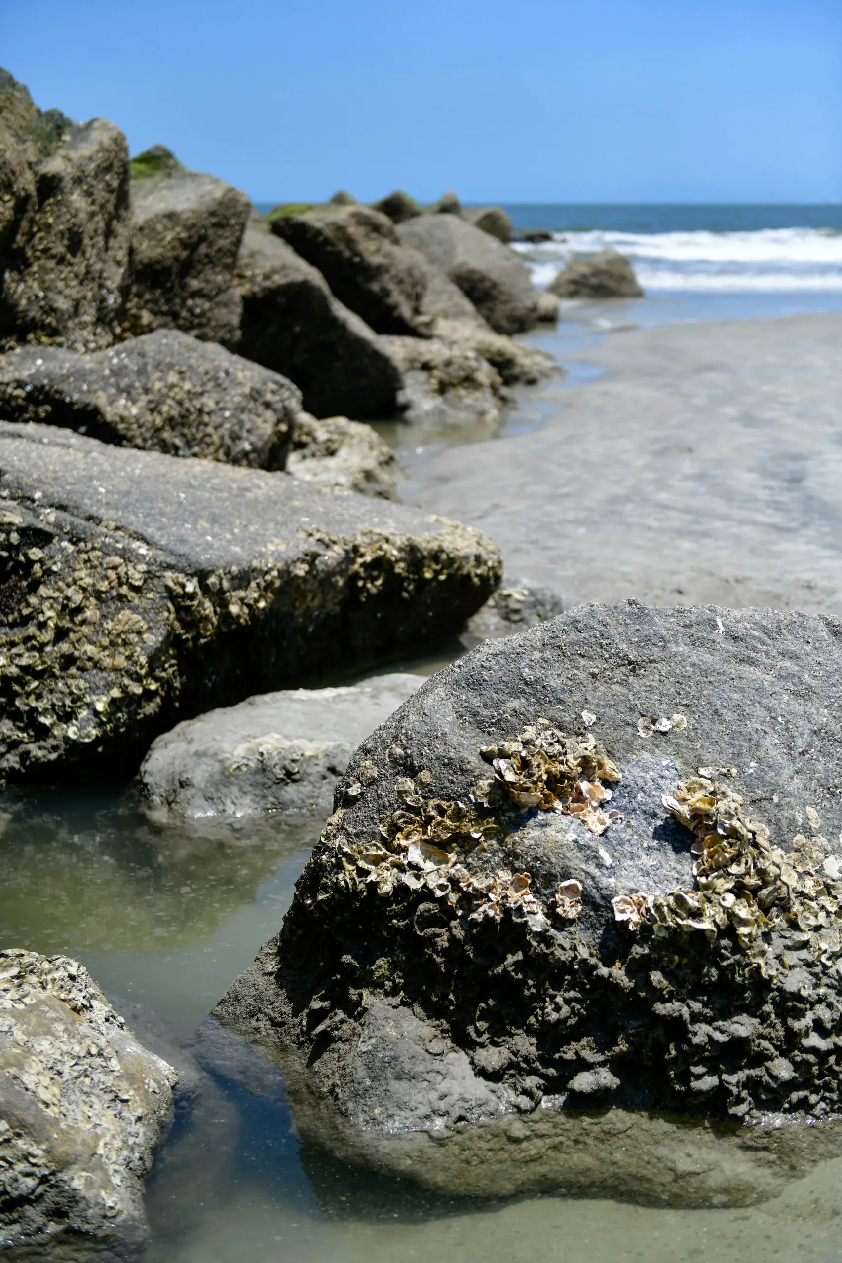 Tybee Island Beach, Tybee Island, Georgia