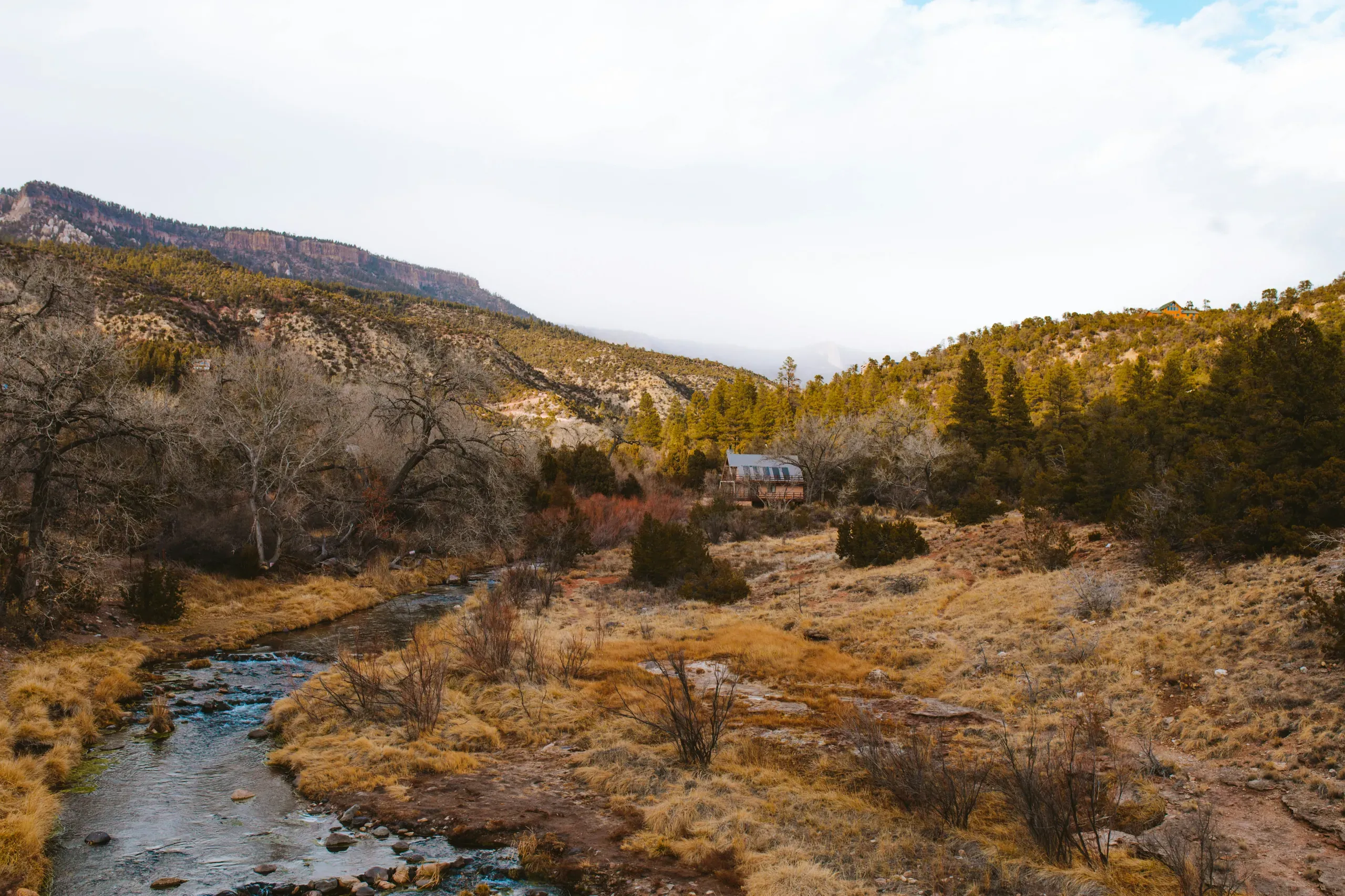 New Mexico