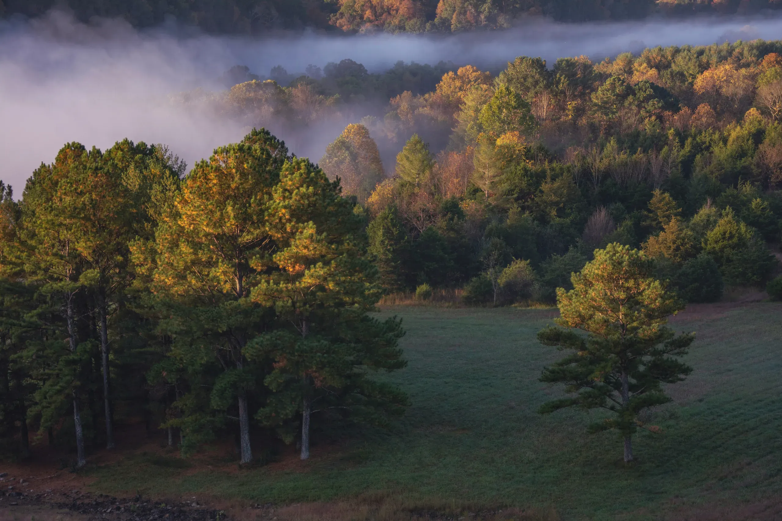 Green River Lake, Kentucky