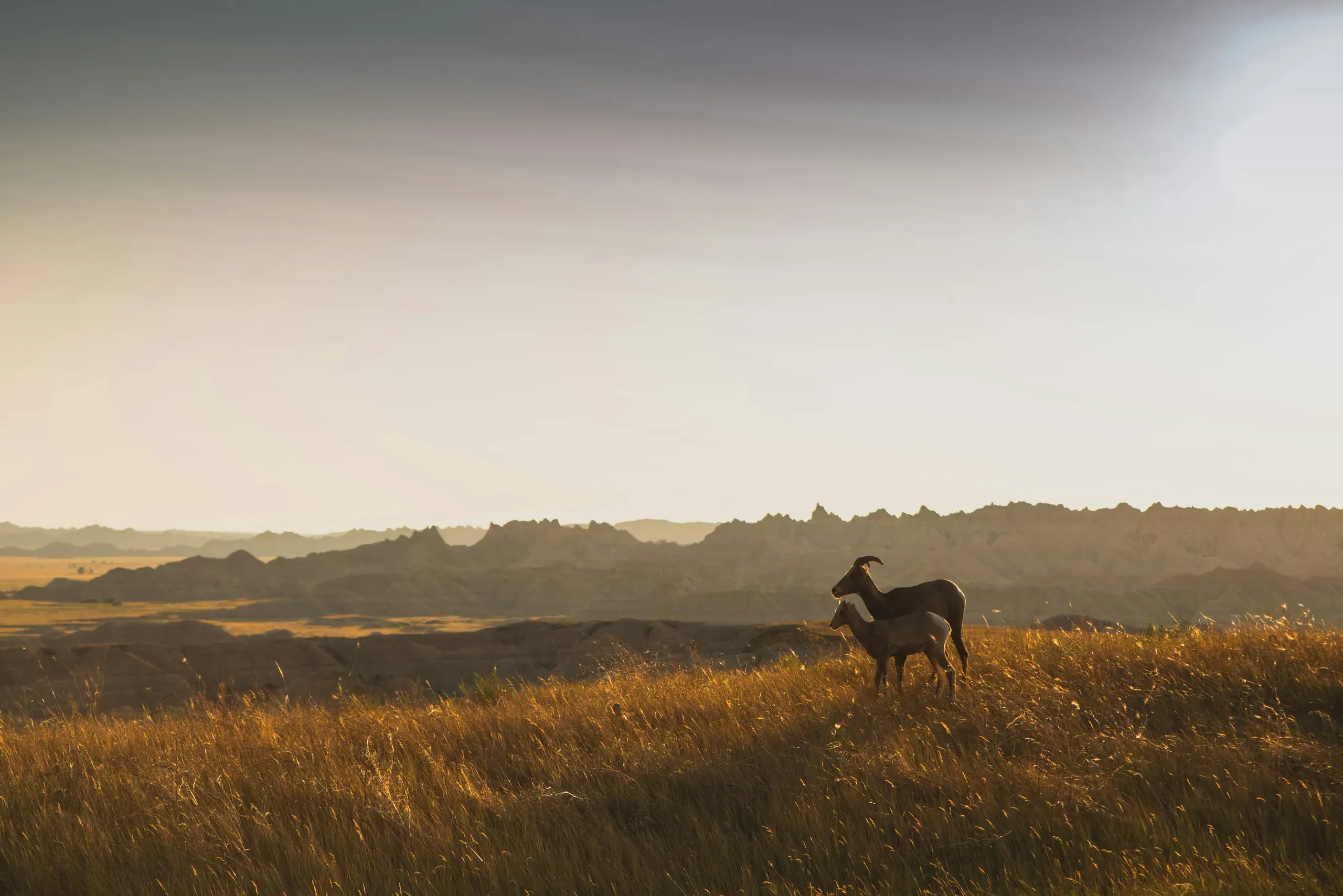Badlands National Park, South Dakota
