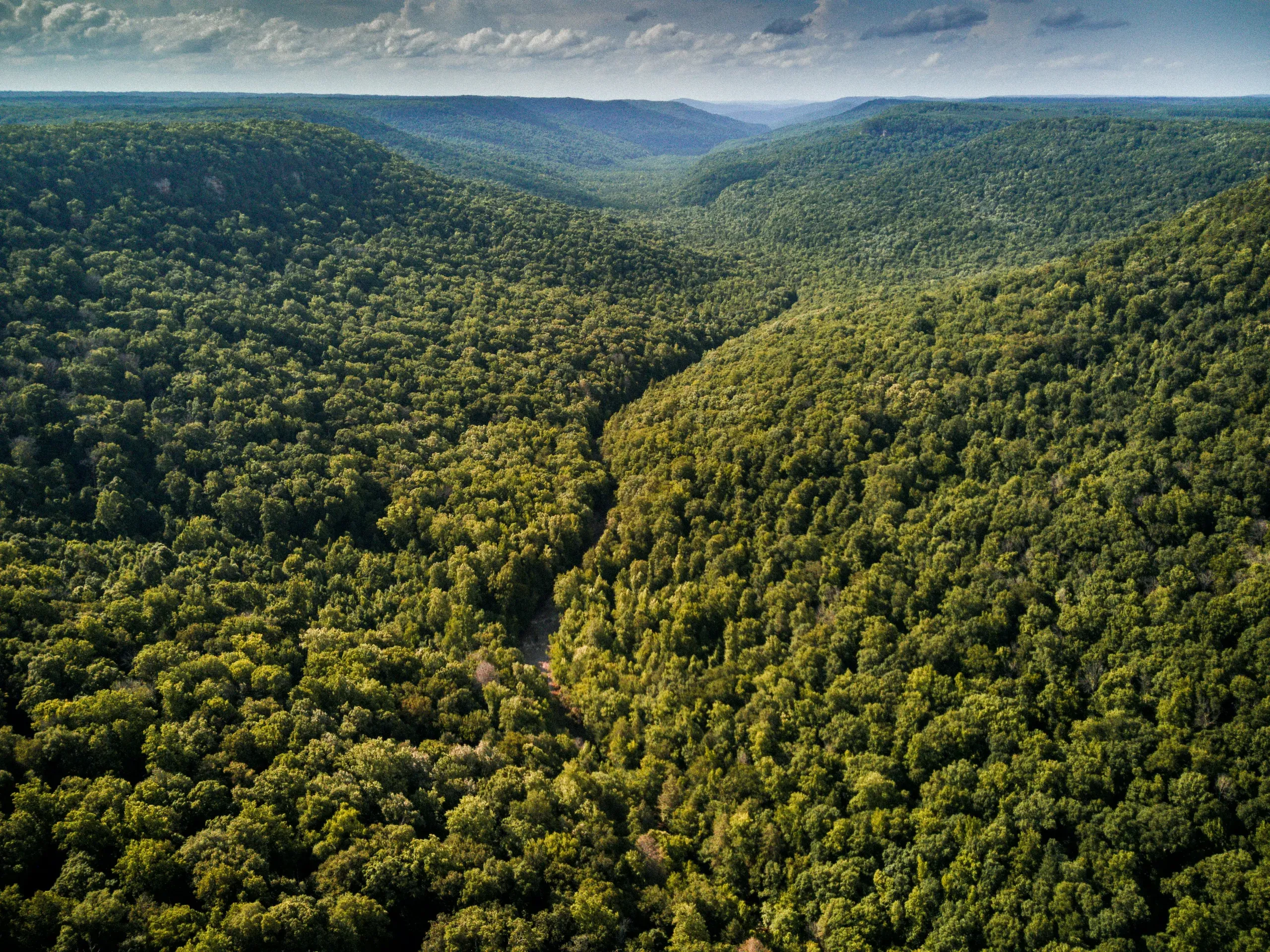 Fall Creek Falls, Tennessee