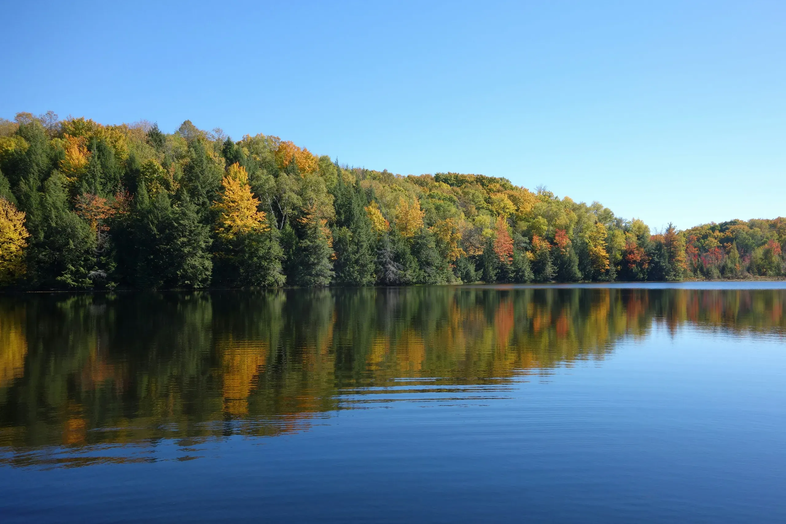 Northern Wisconsin