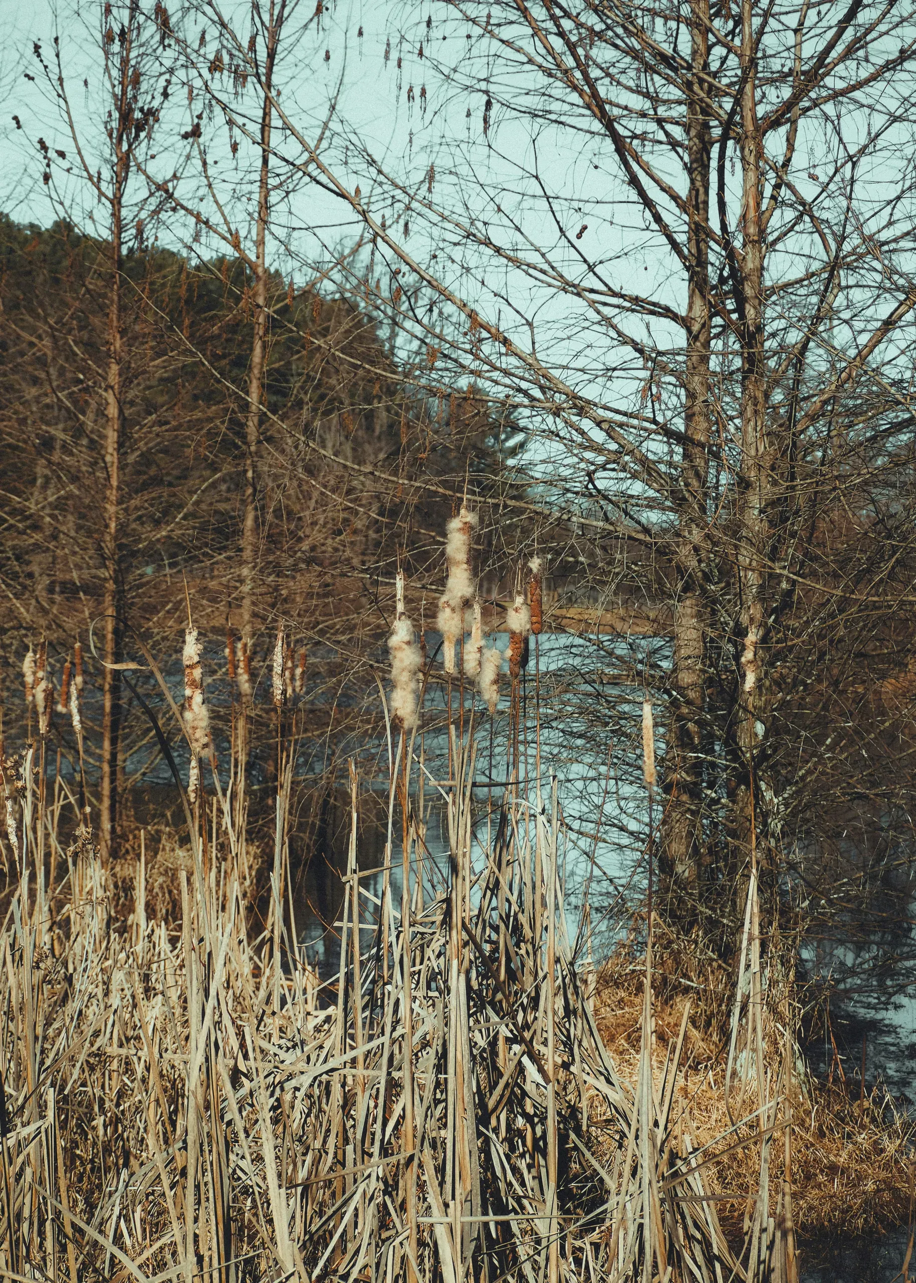 Bernheim Arboretum & Research Forest, Clermont Rd, Clermont, Kentucky