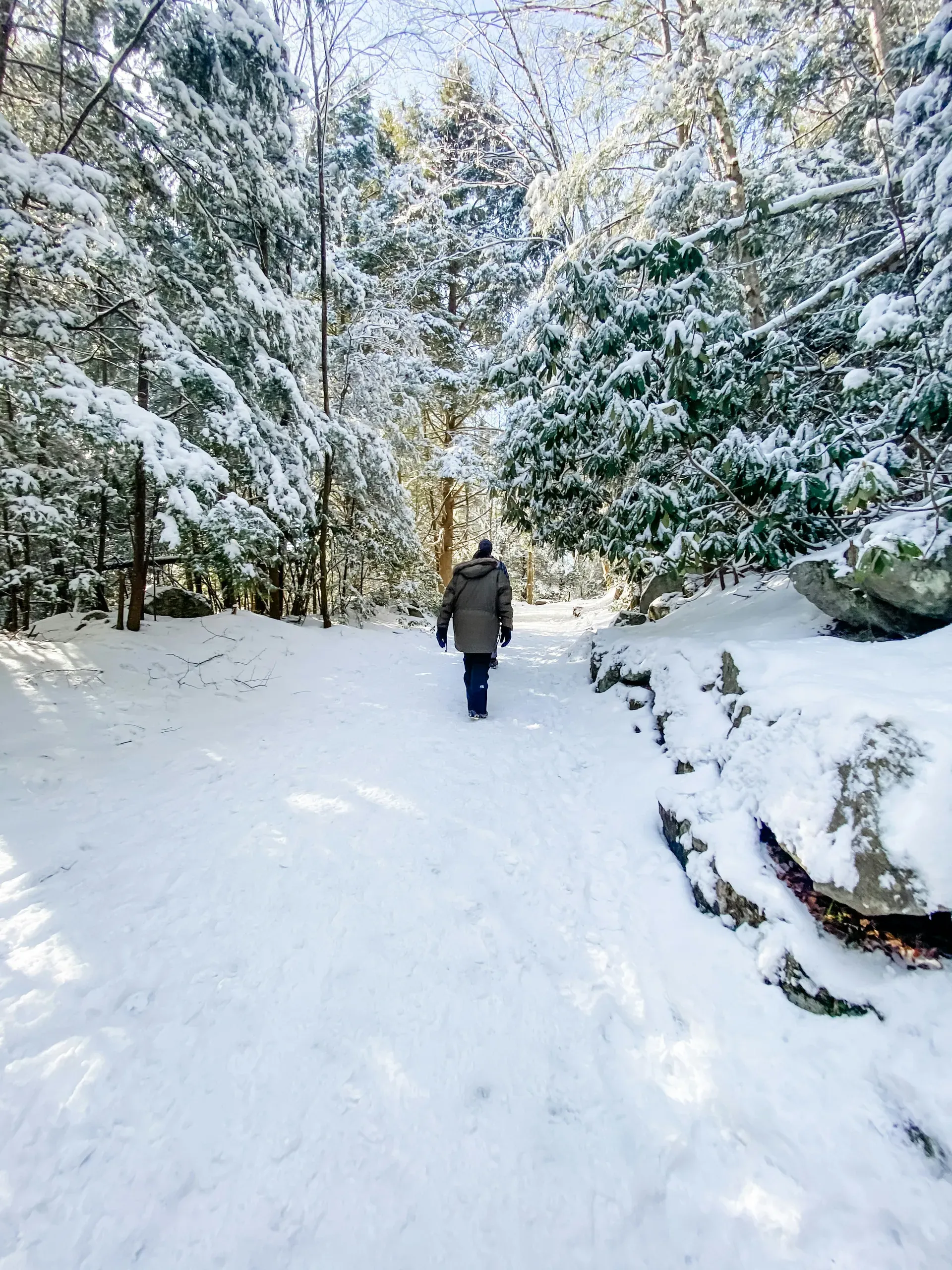 Blackwater Falls, Parsons, West Virginia. Walking in a Winter Wonderland // Wild & Wonderful West Virginia