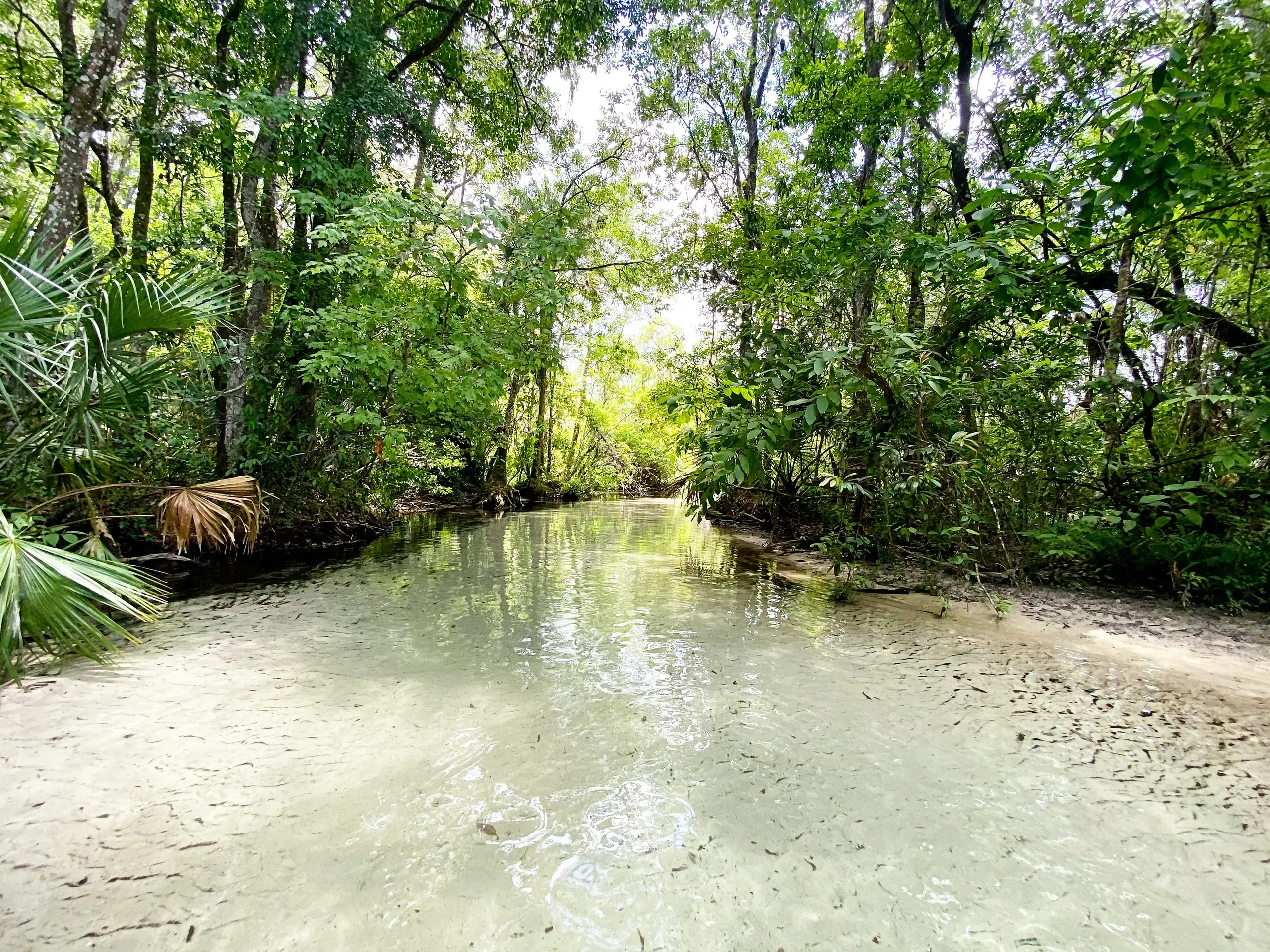 Rock Springs, Florida