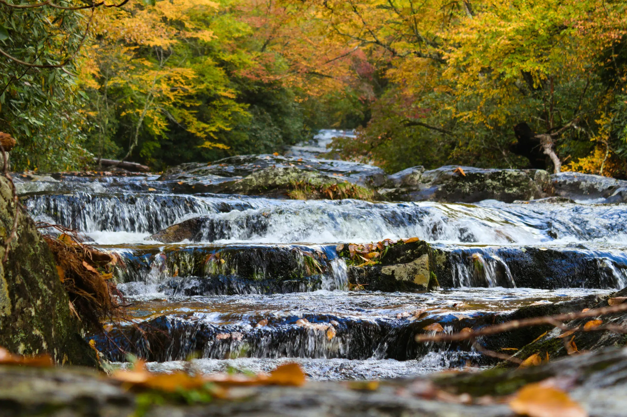 Autumn view of Snowbird Creek at Great Smokey Mountain National Park in North Carolina