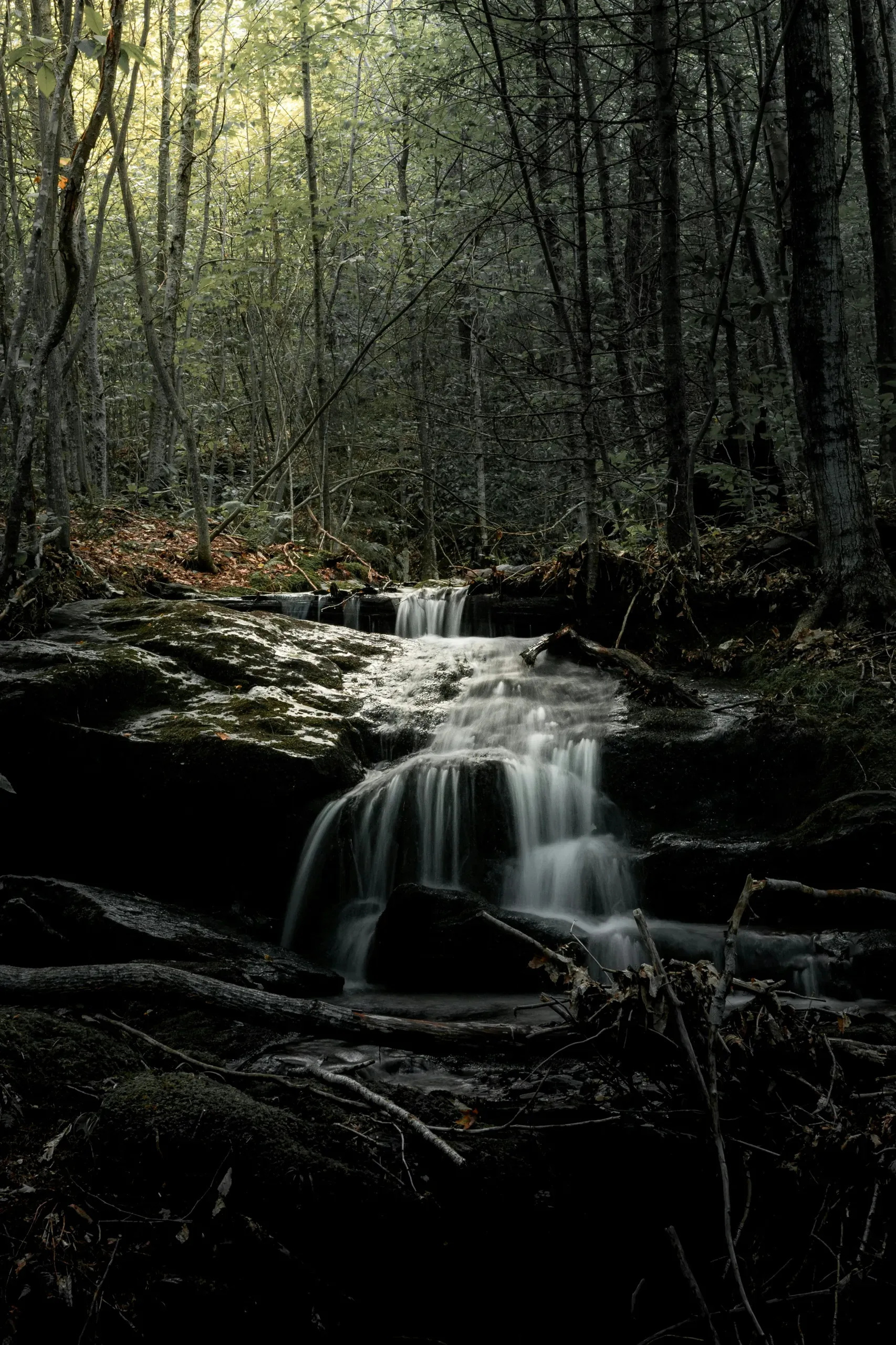 Vermont