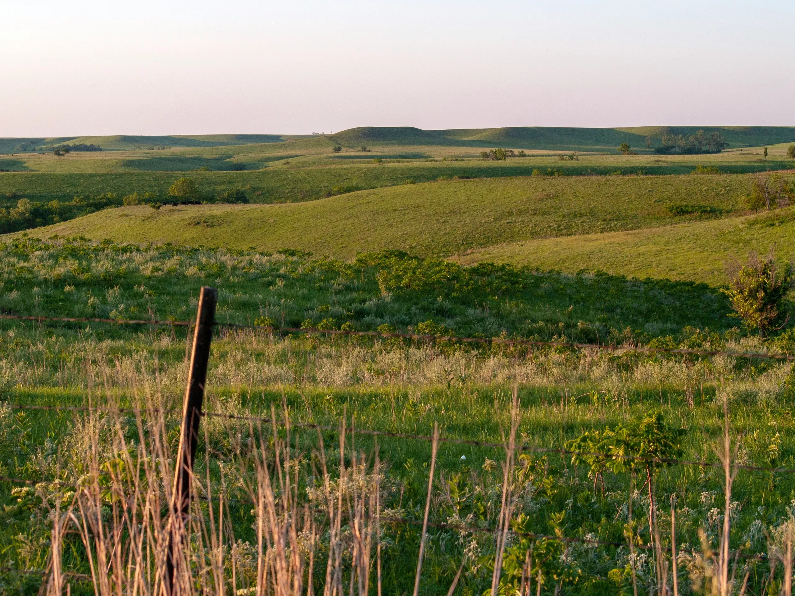 Kansas. Evening on prairie rangeland