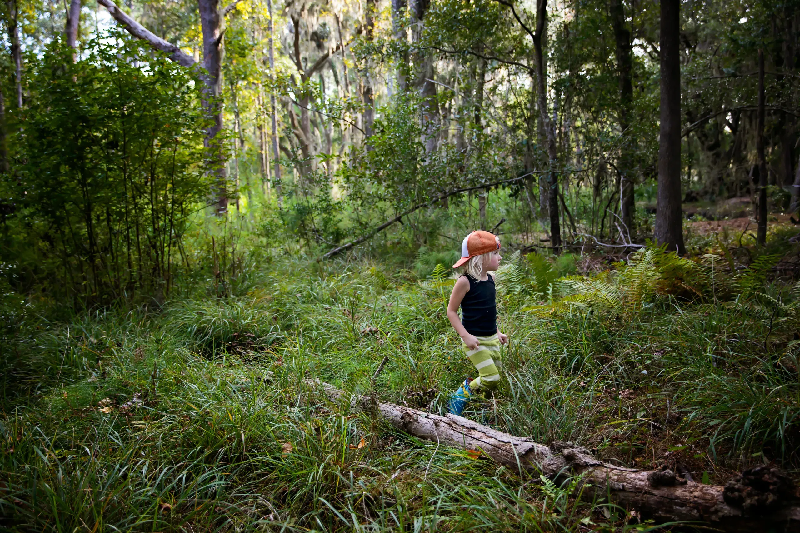 Hilton Head Island, South Carolina. Photo of boy walking in a forest