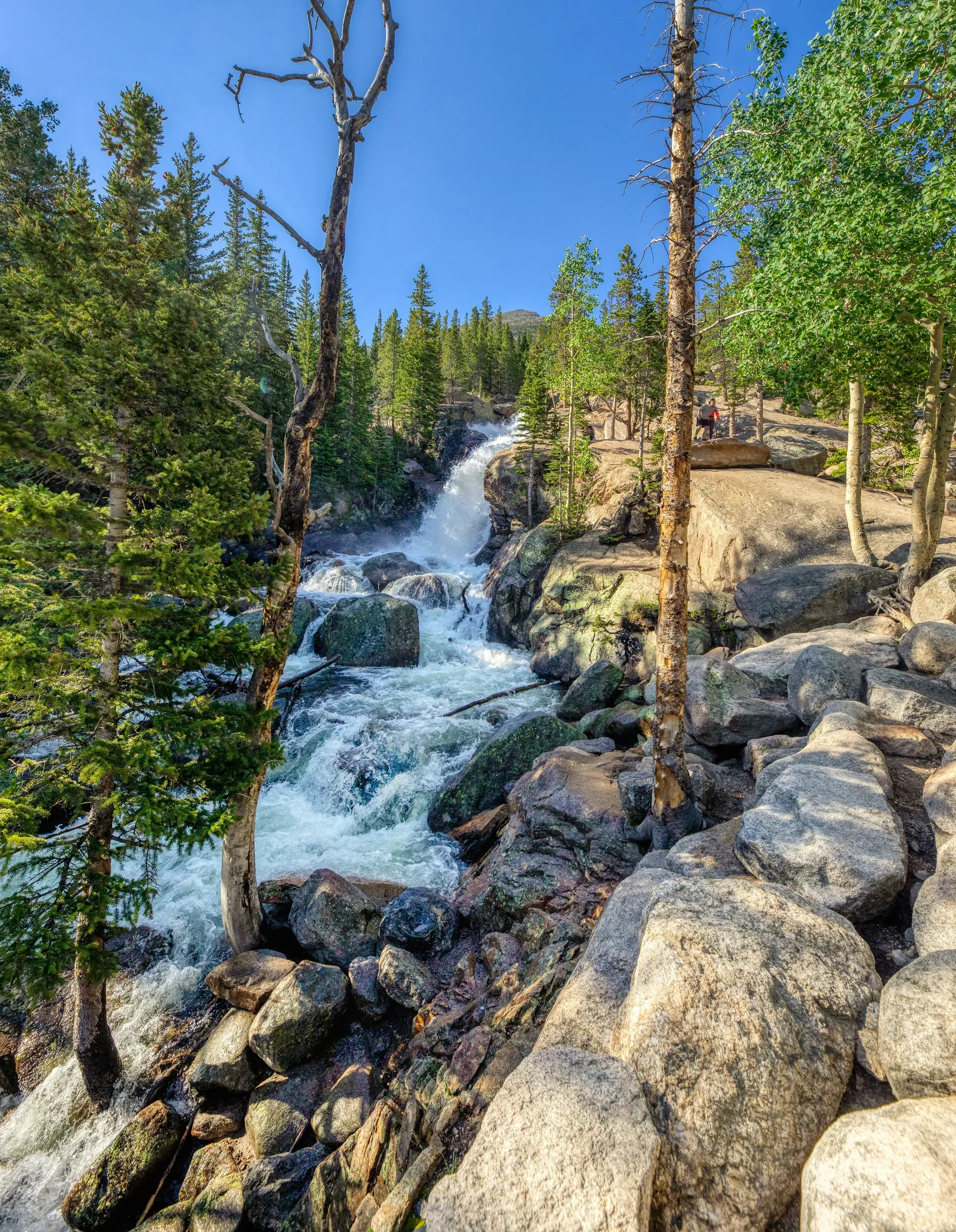Alberta Falls in Rocky Mountain National Park on Glacier Gorge Trail, Estes Park,Colorado