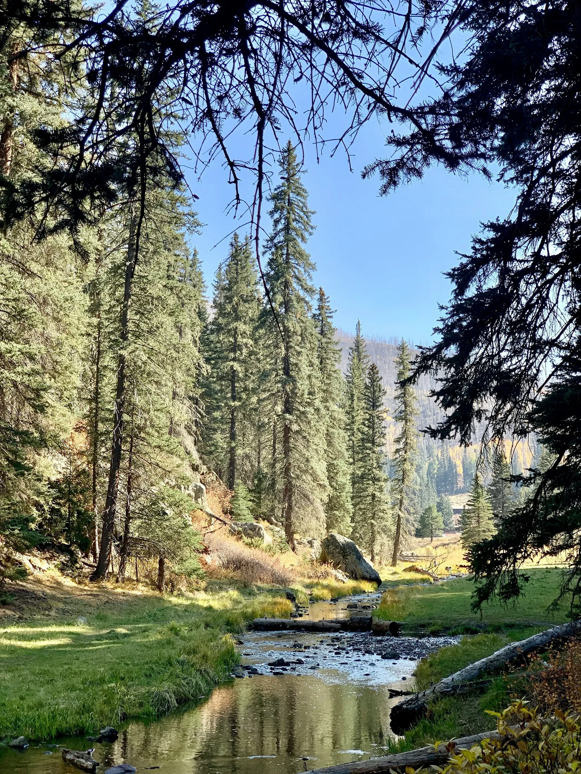 East Fork Jemez River, New Mexico