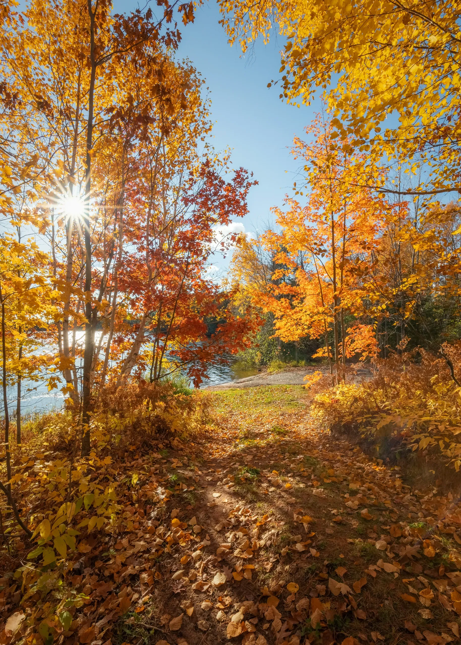 Lac Du Flambeau, Wisconsin. Sun and Autumn trees