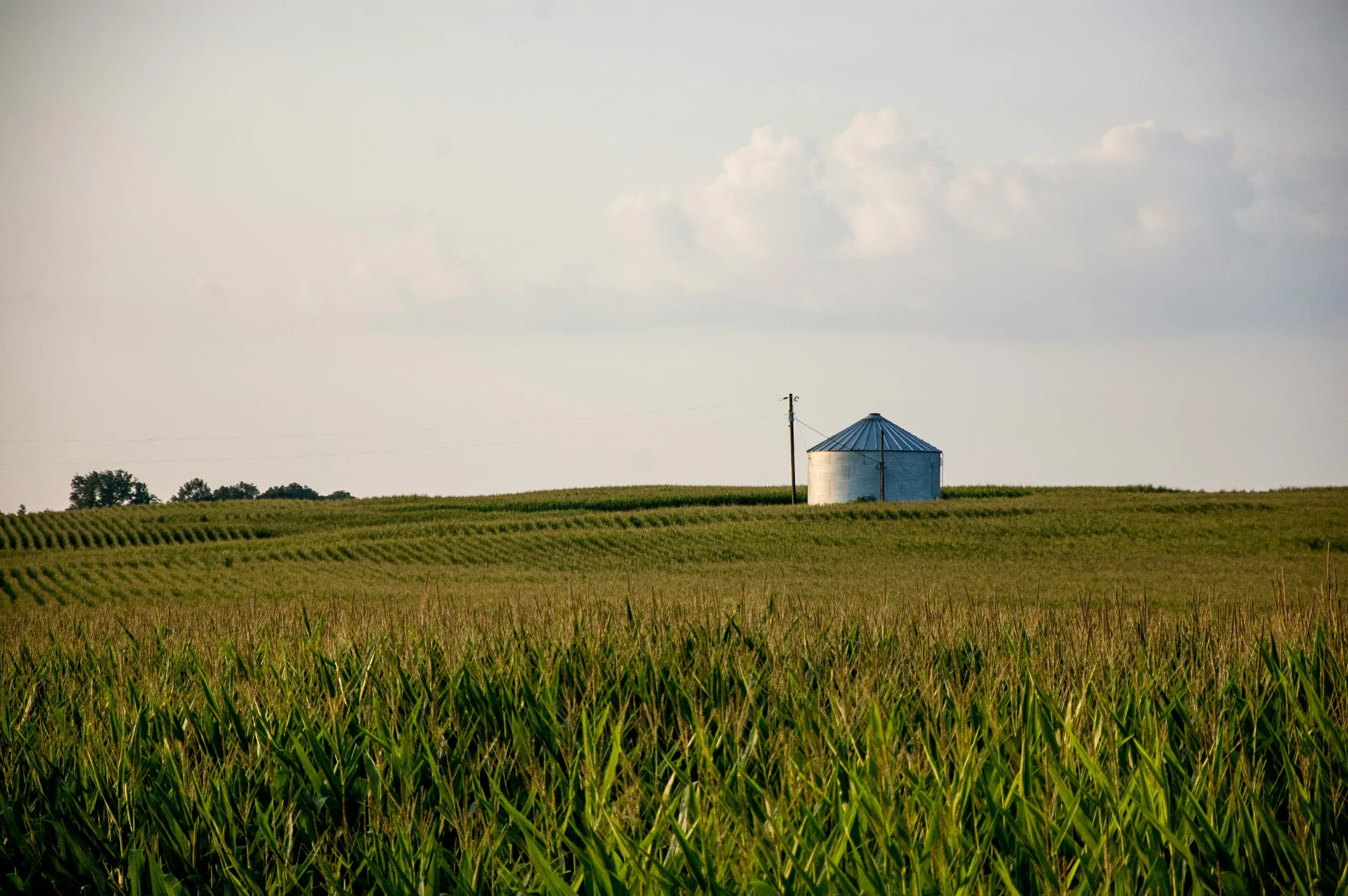 Kentucky