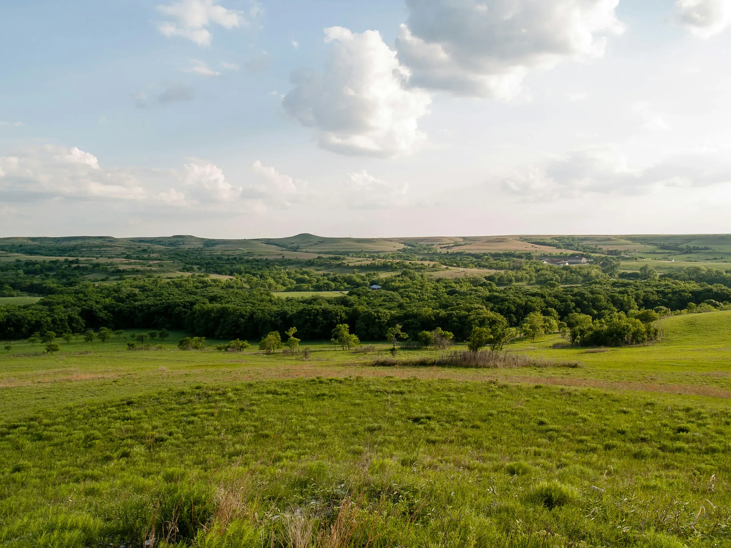 Konza Prairie Research Natural Area, Kansas