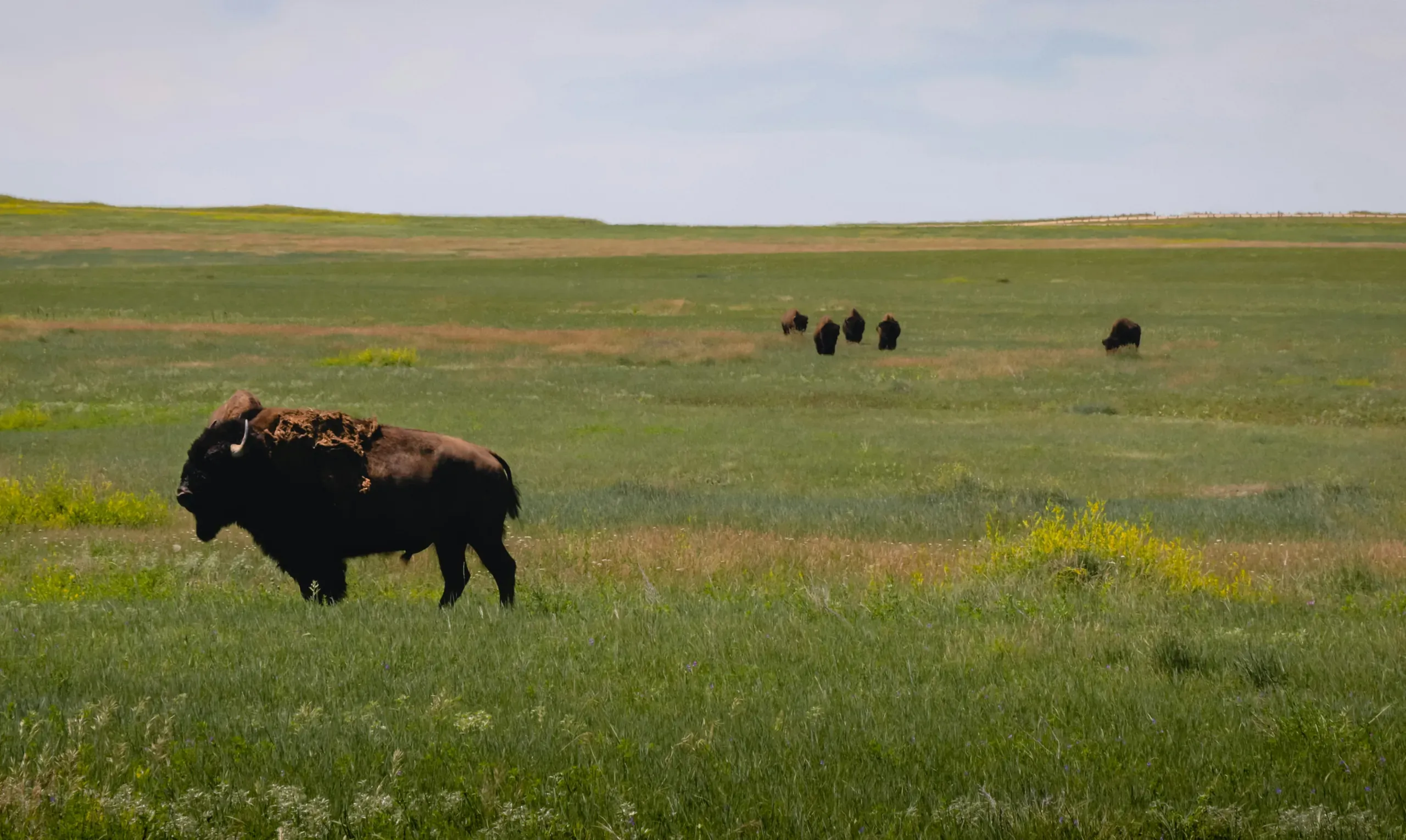 Badlands National Park, South Dakota
