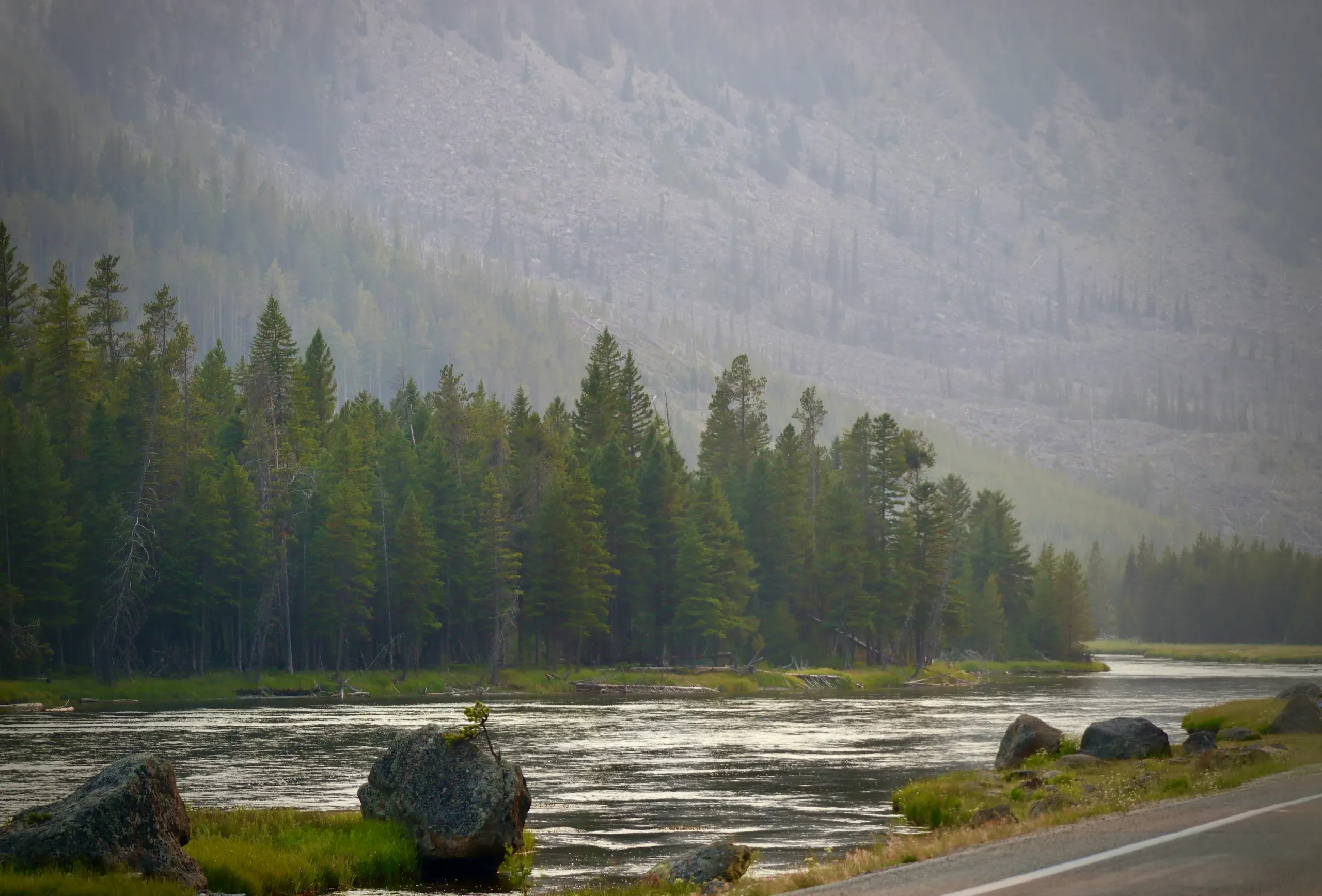 Near Madison Crossing, Yellowstone National Park, Wyoming