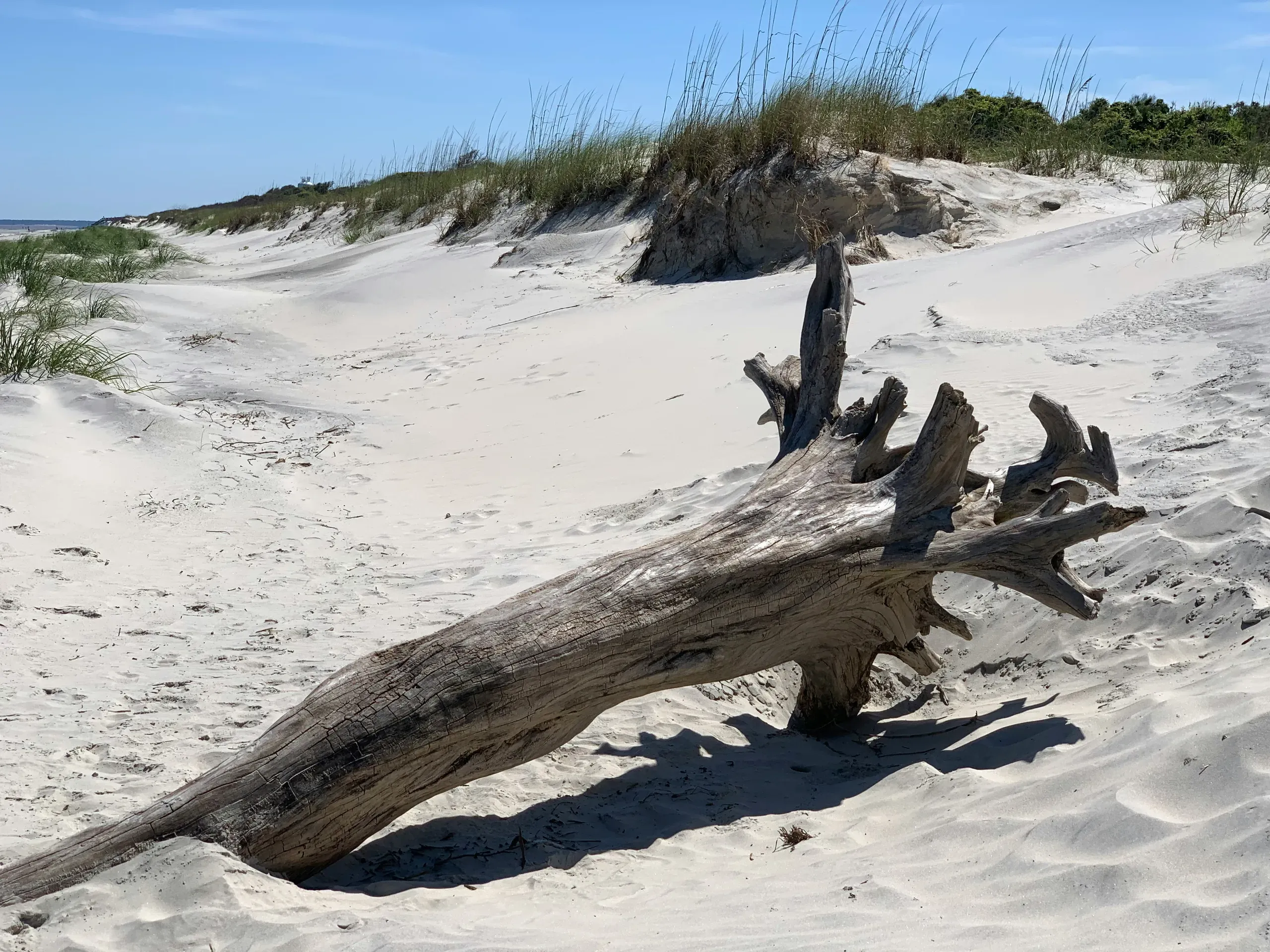 Jekyll Island, Georgia