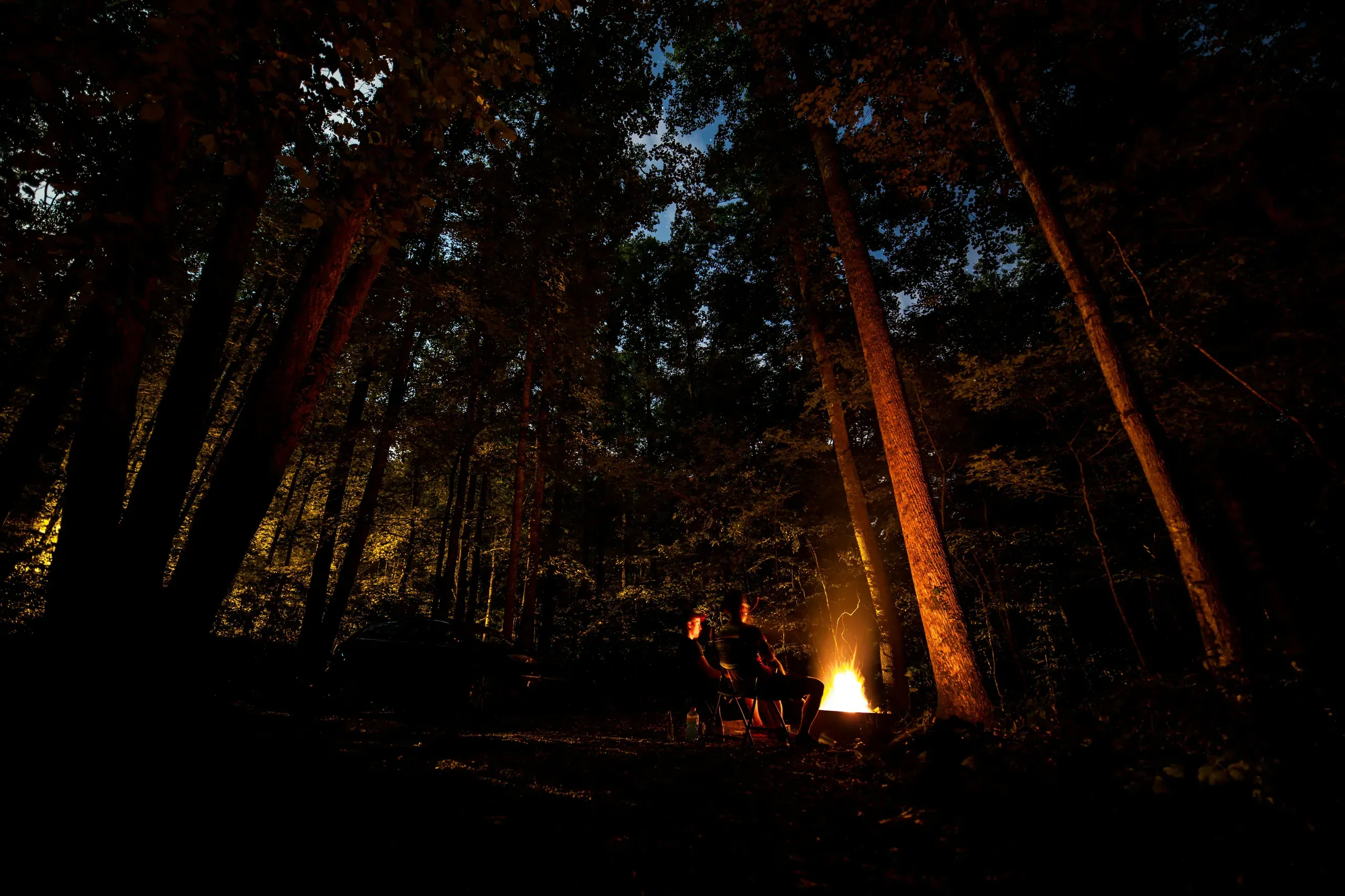 People camping in a forest in Tapoco, North Carolina