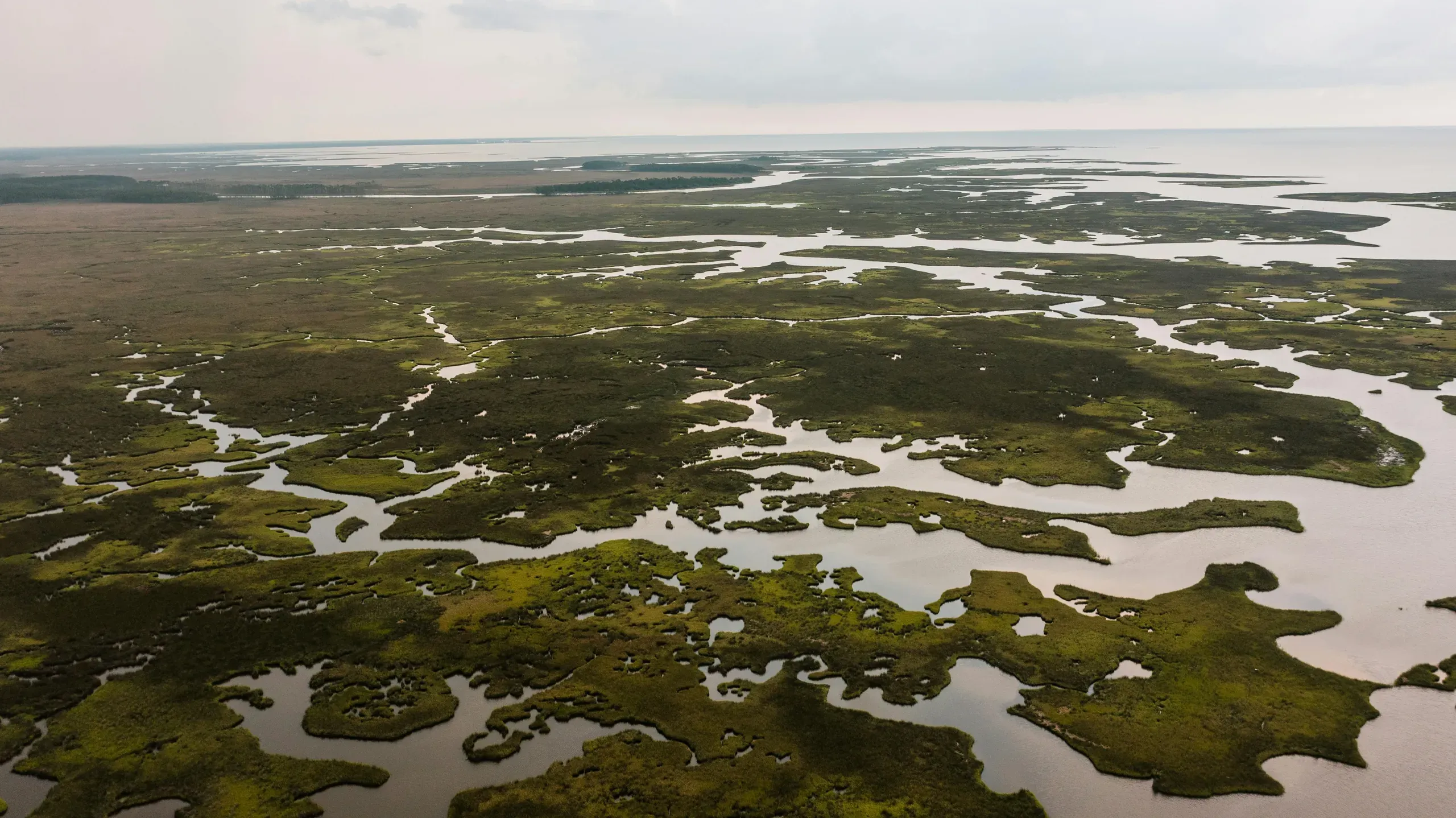 Moss Point, Mississippi. Aerial view of a river