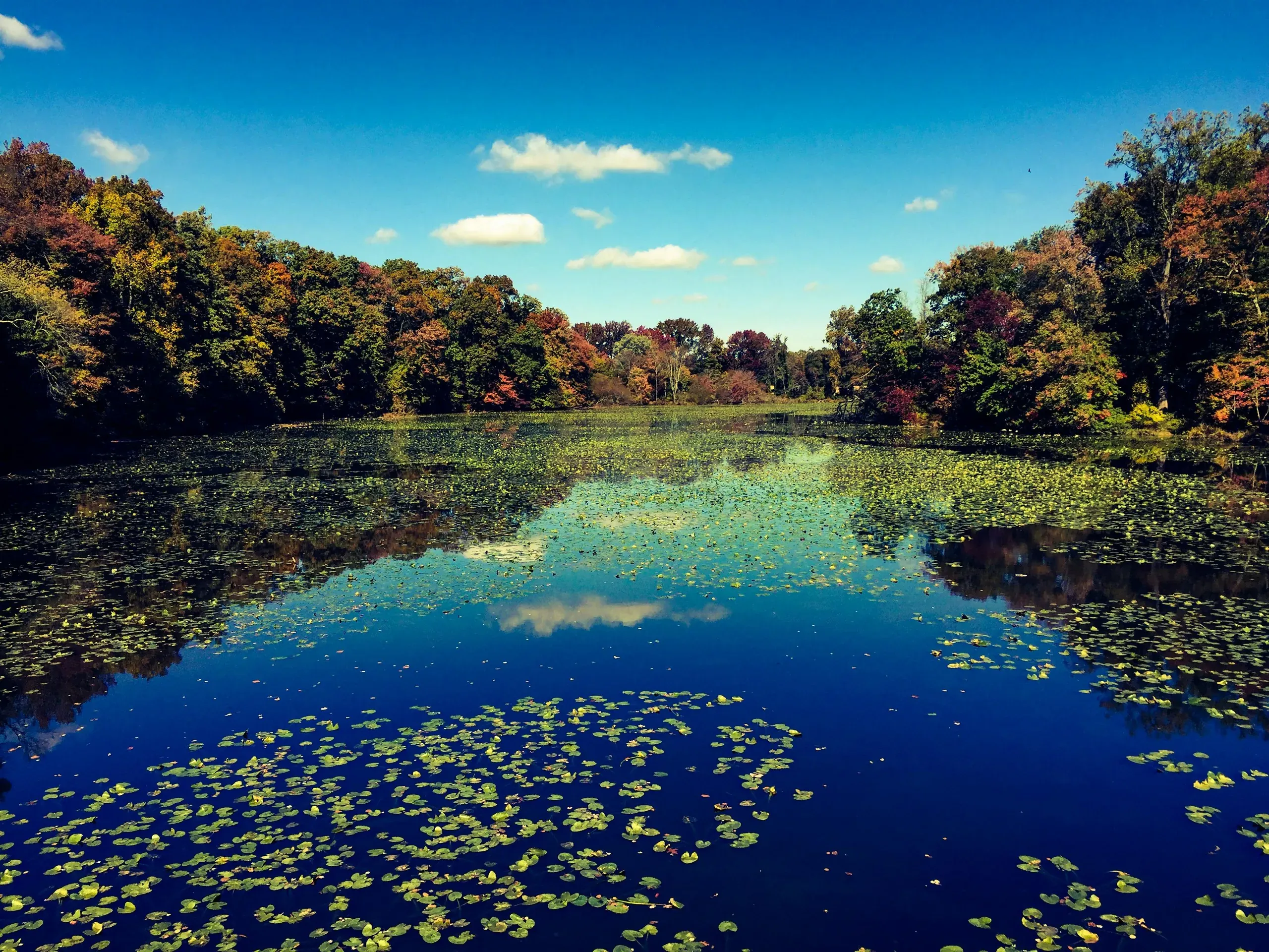 Newark, Delaware