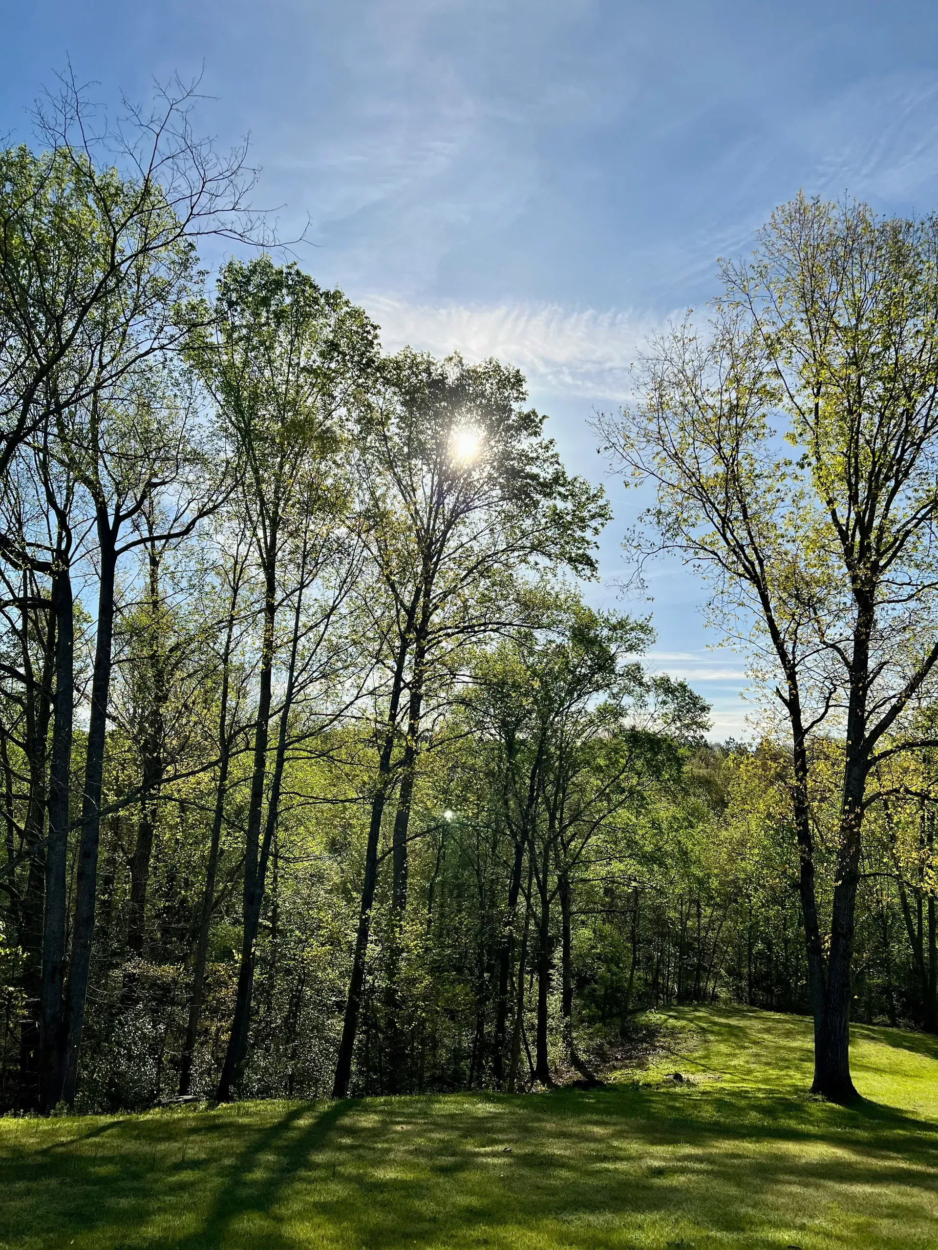 South Carolina