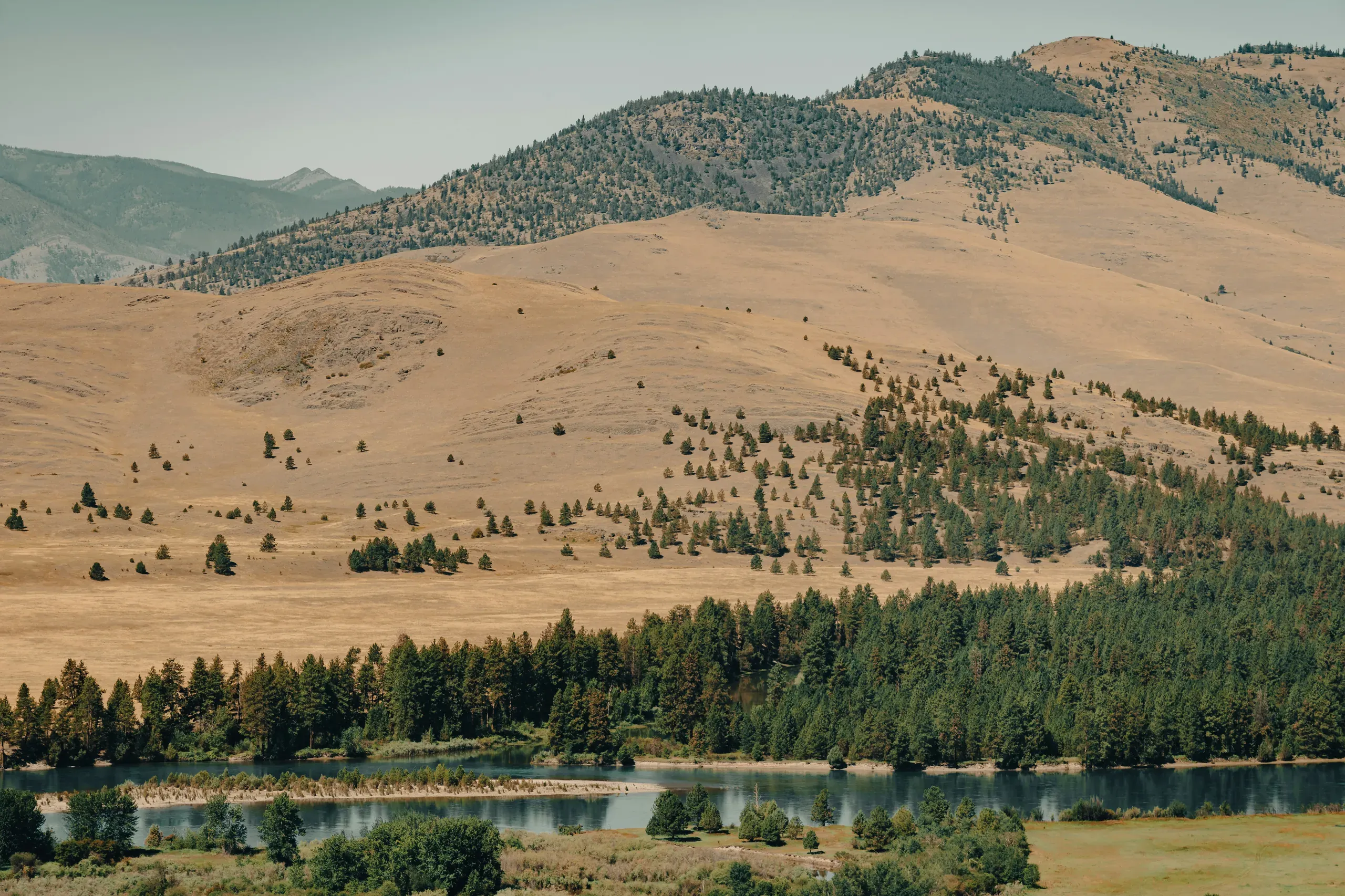 National Bison Range, Montana