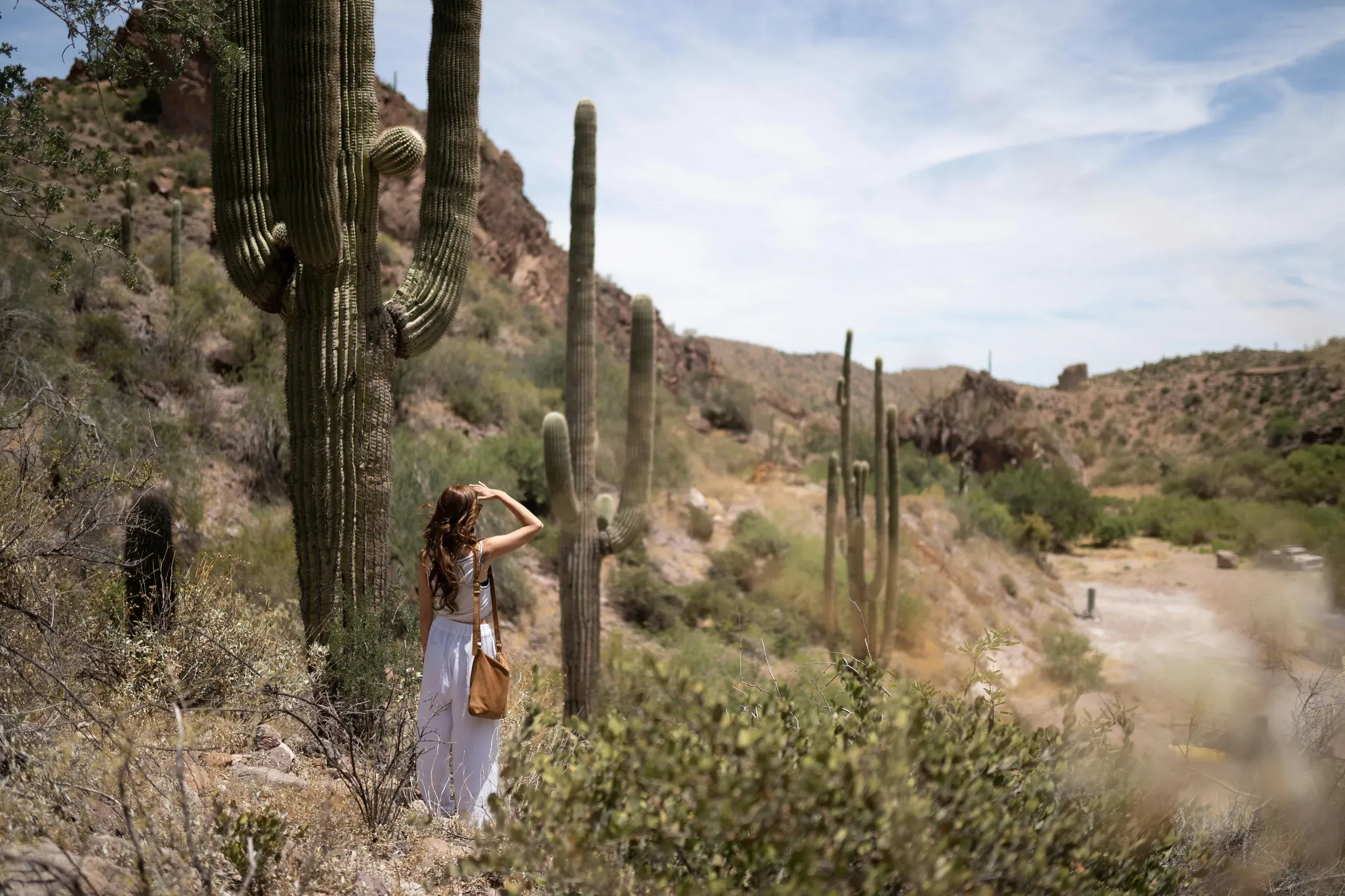 Arizona. Woman Standing Near Cactus Plant.