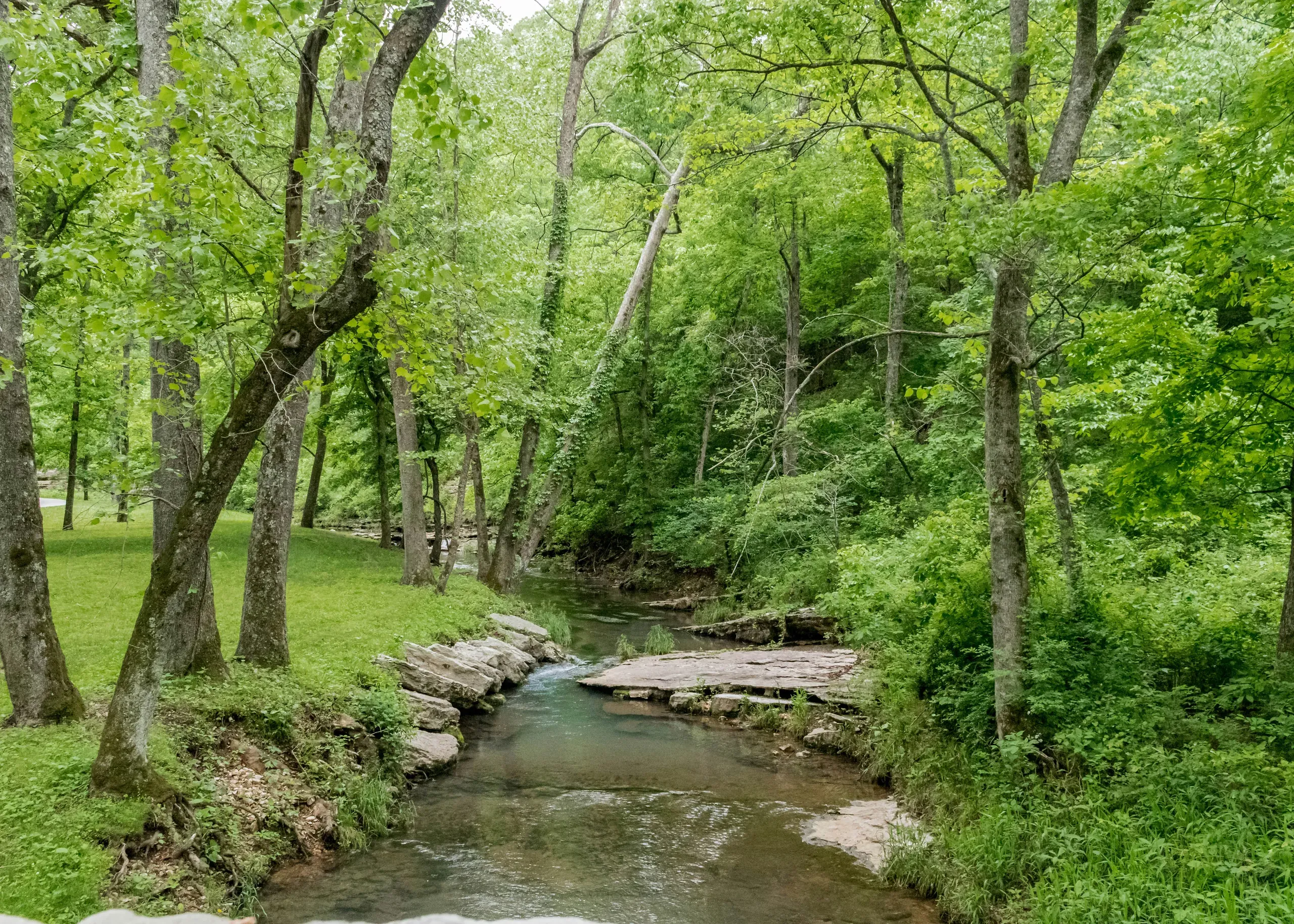 Dogwood Canyon, Lampe, Missouri