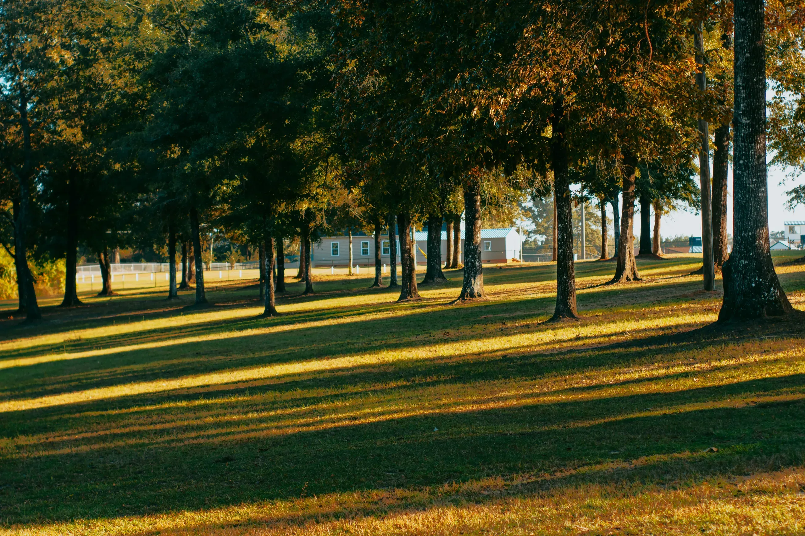 Mount Vernon, Alabama