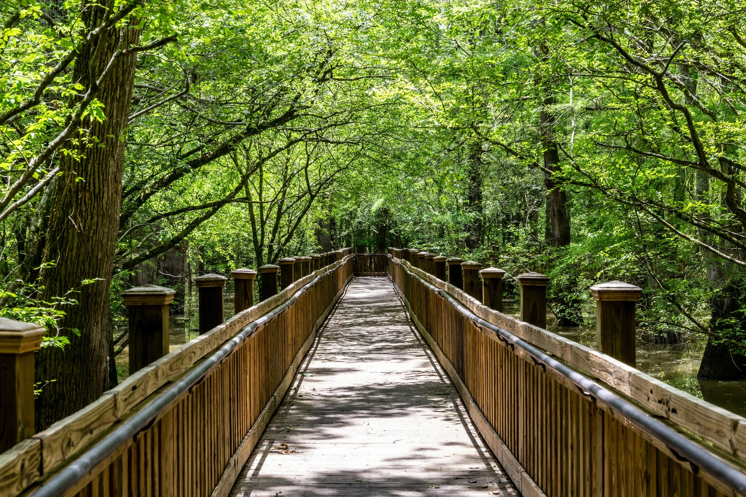 Skylake boardwalk near Belzoni, Mississippi