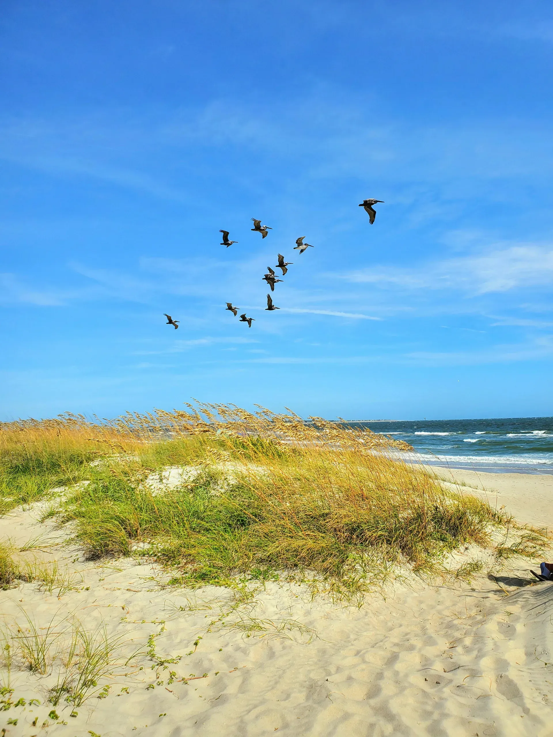 South Carolina