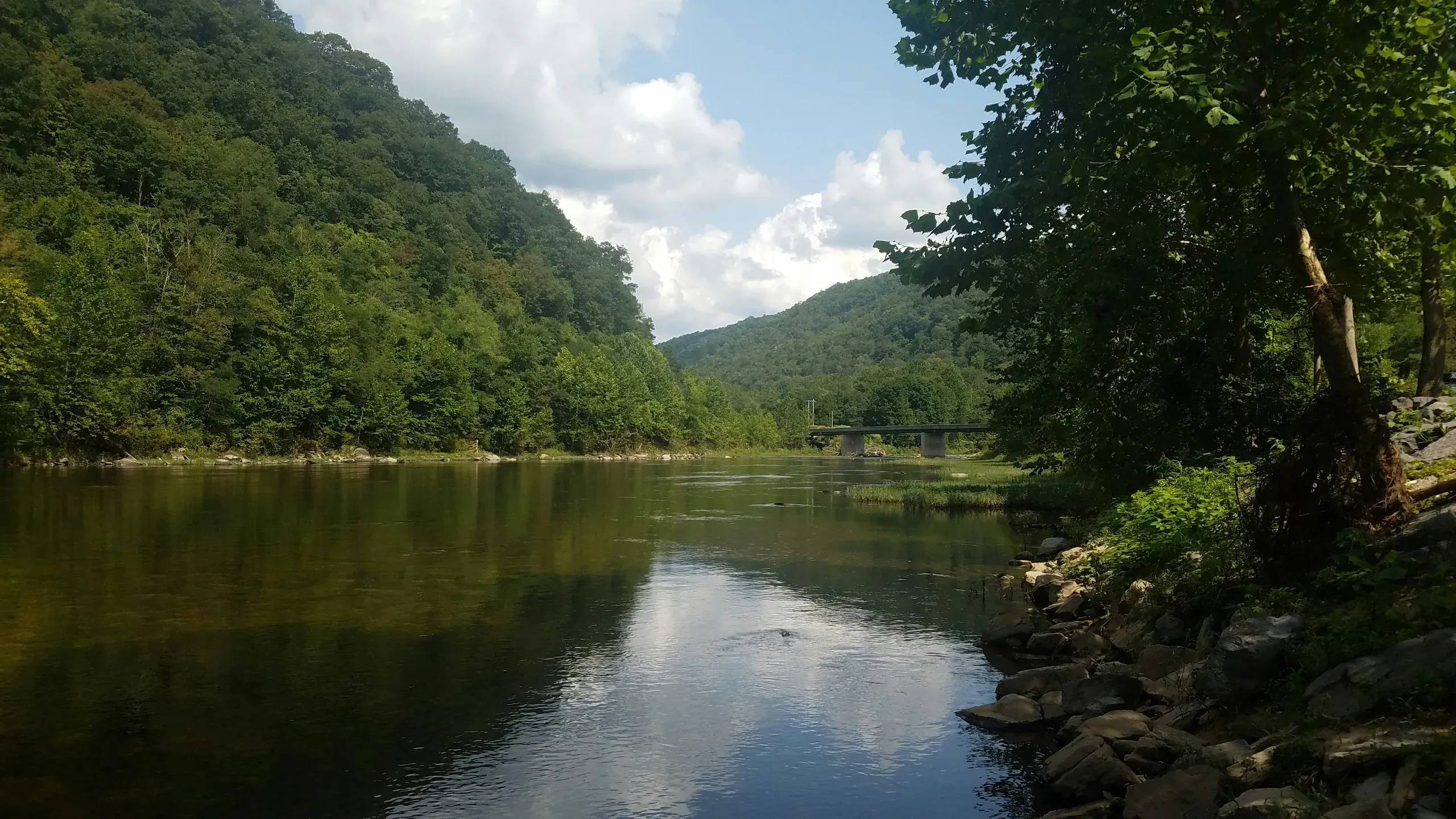 Rowlesburg, West Virginia. Looking South from Rowlesburg Park