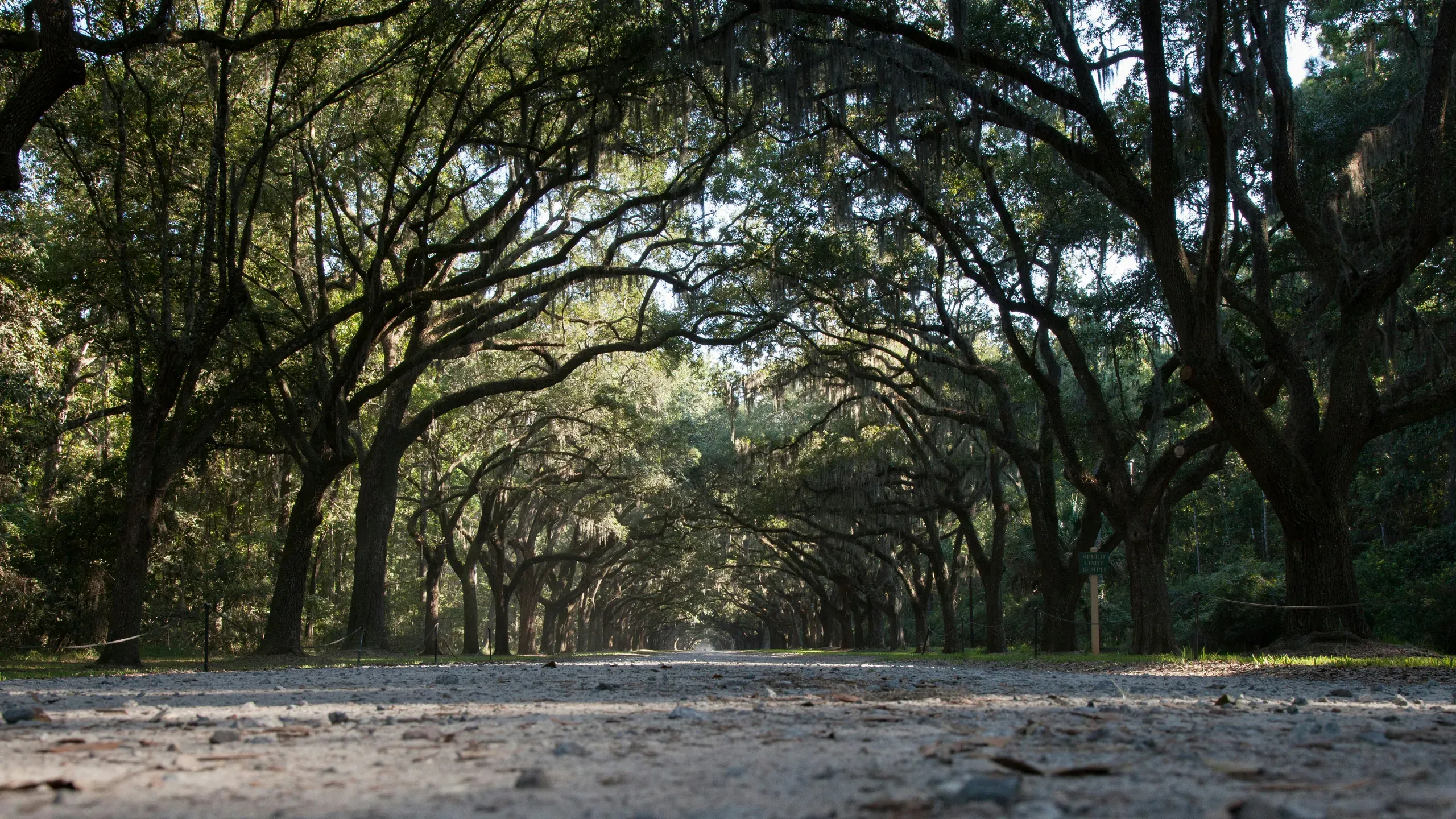 Wormsloe Historic Site, Savannah, Georgia