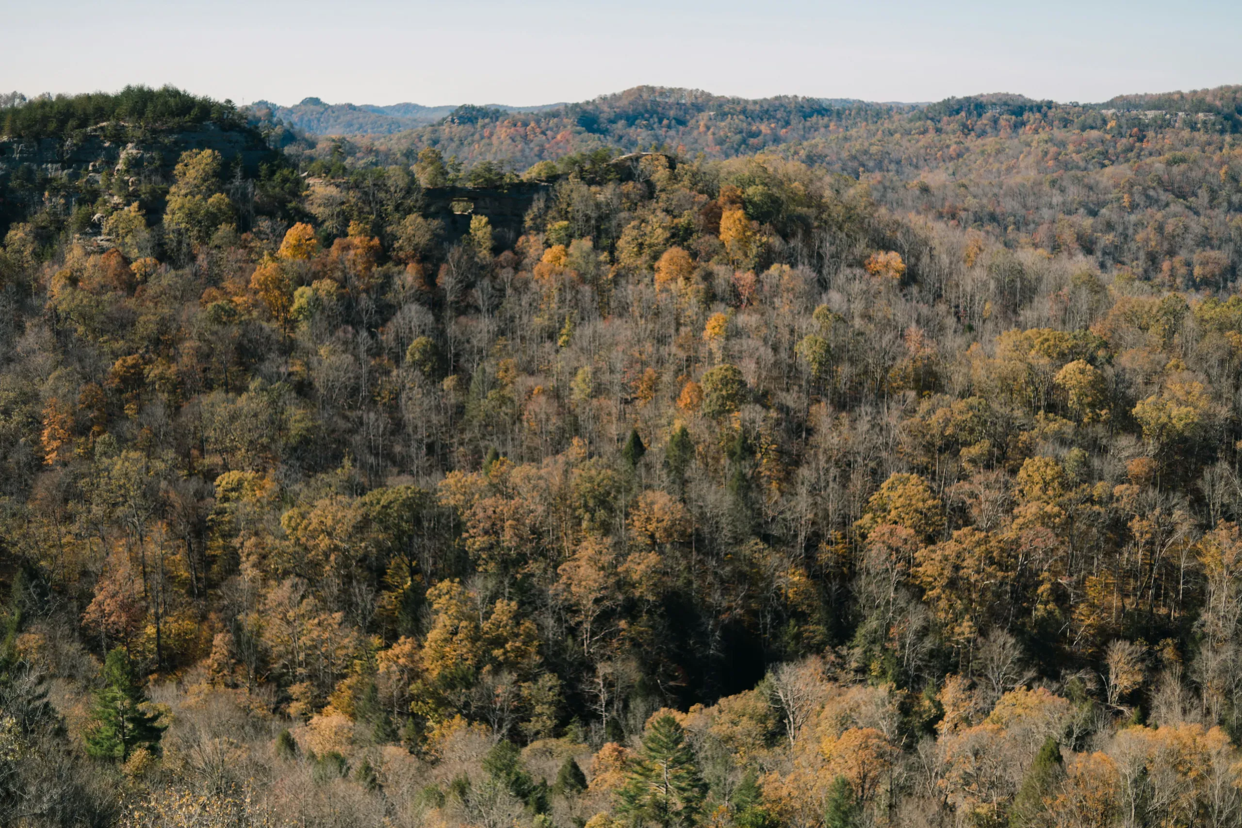 Red River Gorge, Kentucky