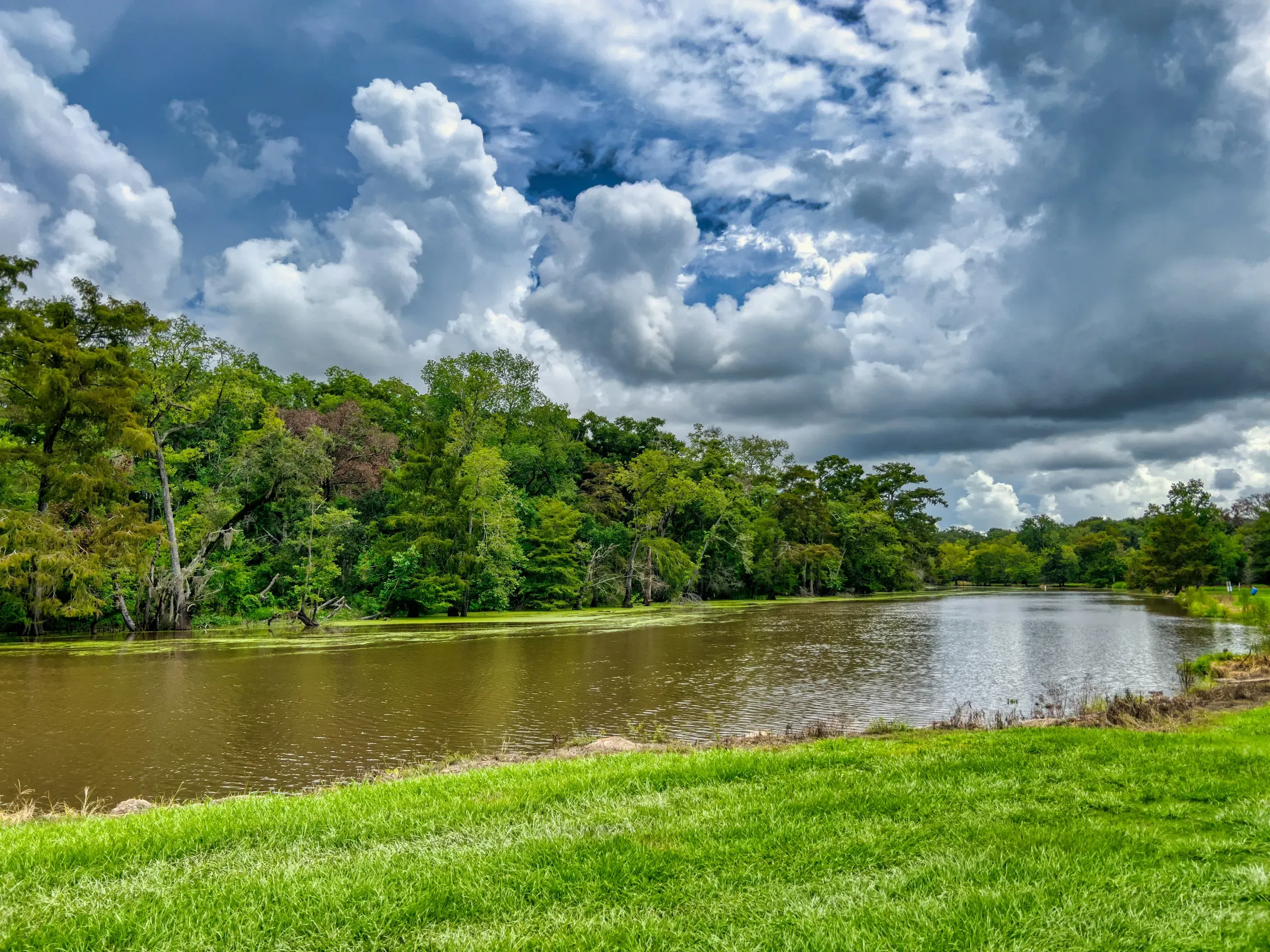 Sunlight filters through the dense, lush green trees surrounding a misty body of water in a Louisiana bayou after a rain storm.