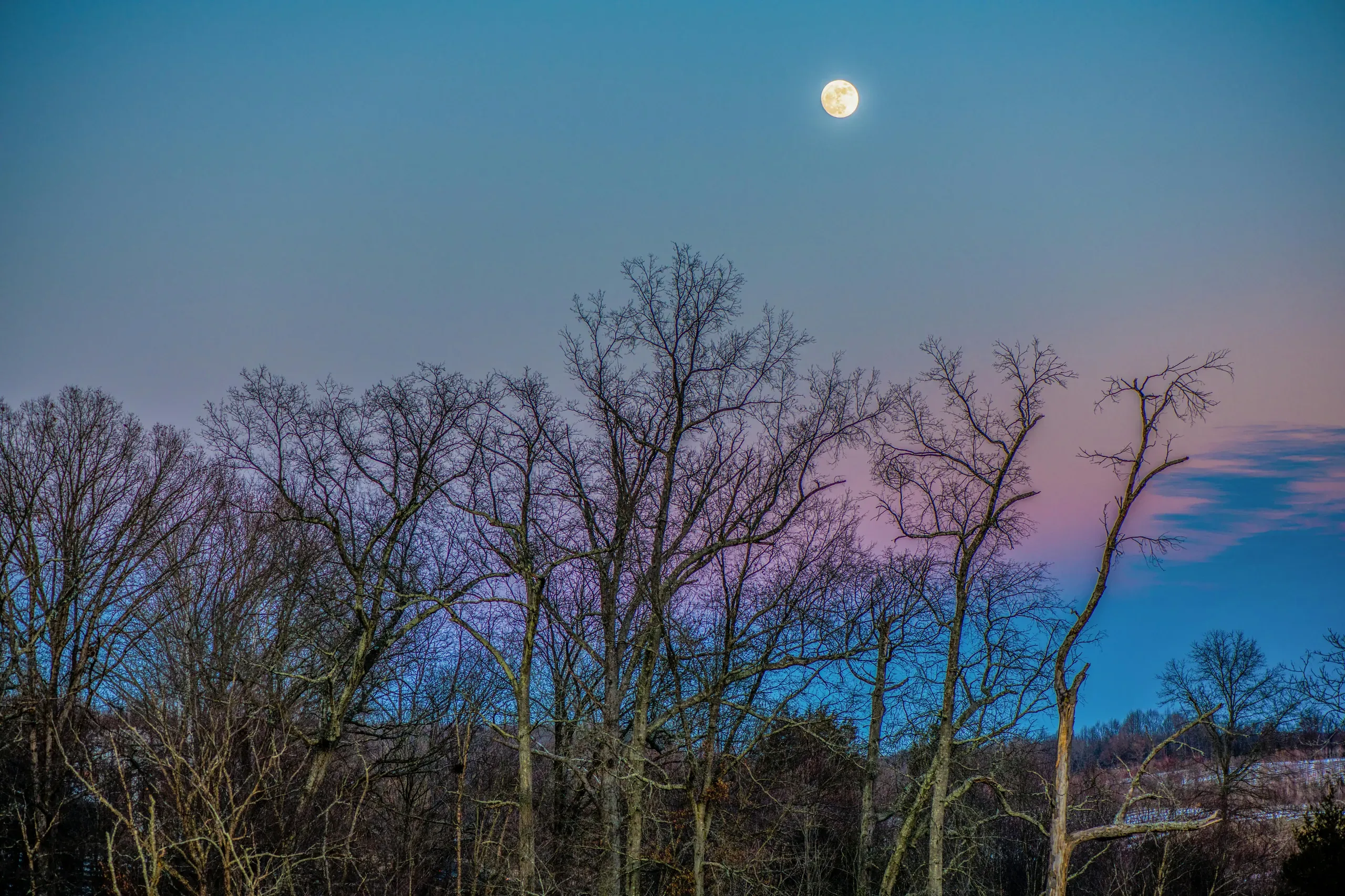 Damascus, Maryland