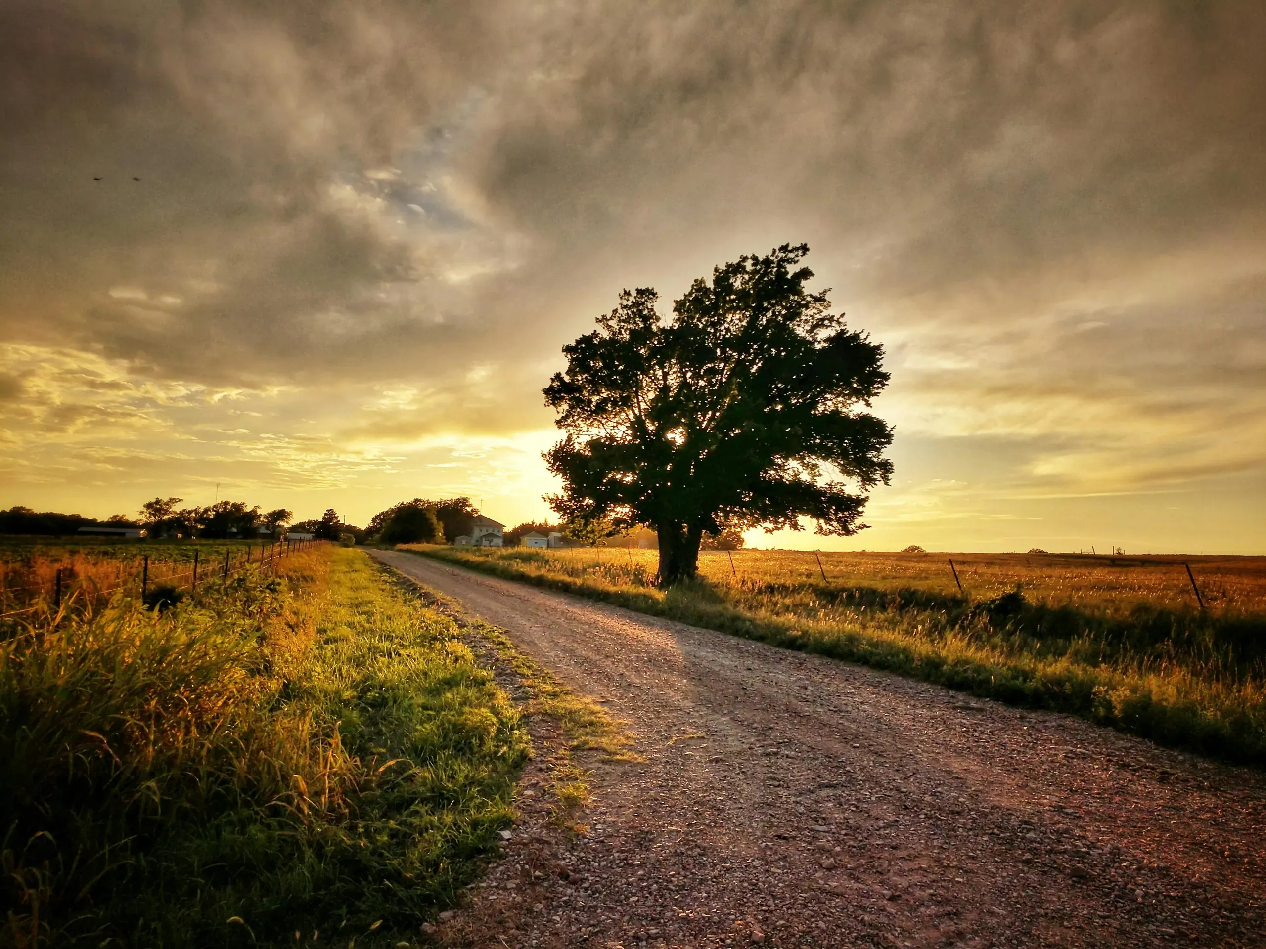 Kansas