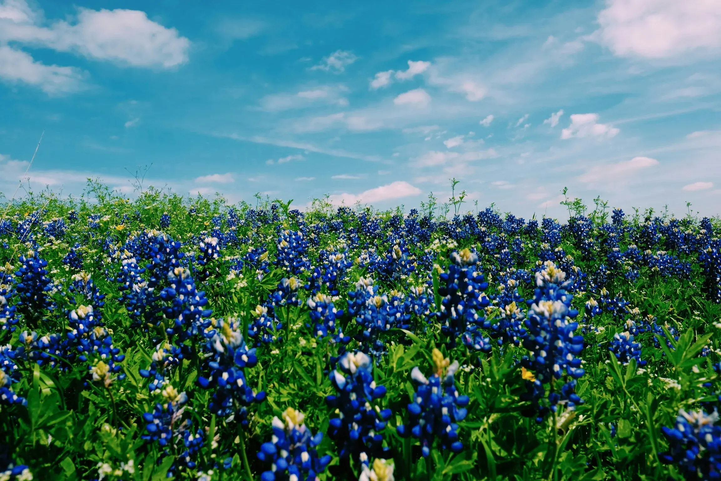 Austin, Texas
