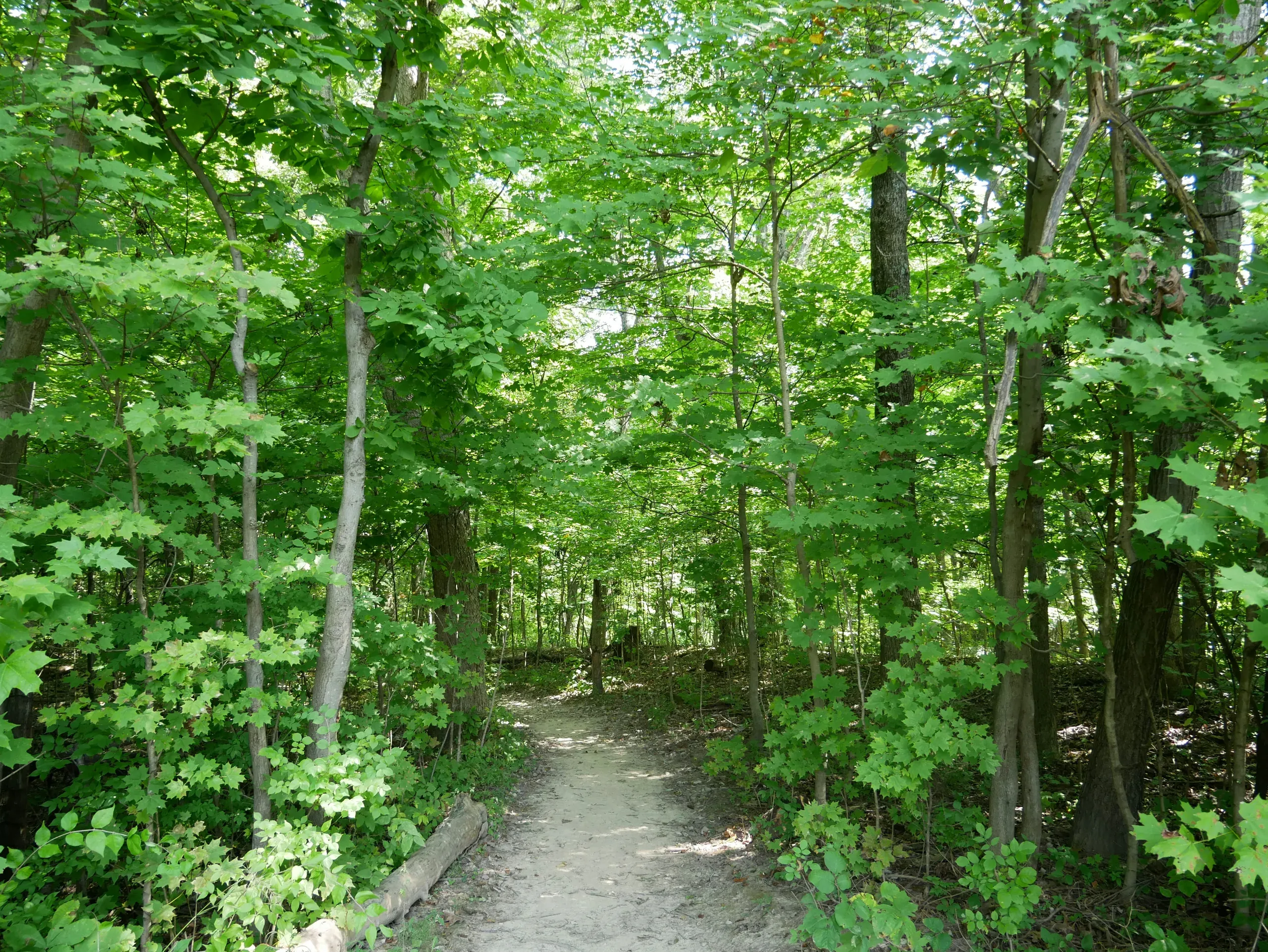 Twin Creek MetroPark, Eby Road, Germantown, Ohio
